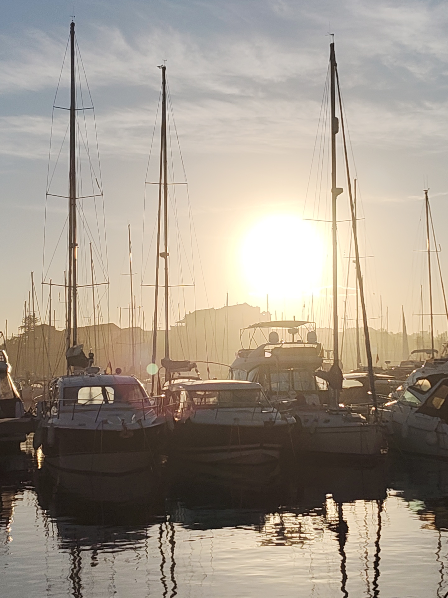 The image captures a scene at the marina in Dénia, Spain, during the early morning or late afternoon, indicated by the low sun. A multitude of boats, predominantly sailboats and motor yachts, are densely packed in their berths. The masts of the sailboats reach high into the sky, creating a forest of vertical lines against the bright sun. The hulls of the boats in the foreground are visible, reflecting in the calm water of the marina. A silhouette of buildings is faintly discernible in the background. The overall impression is one of tranquility.