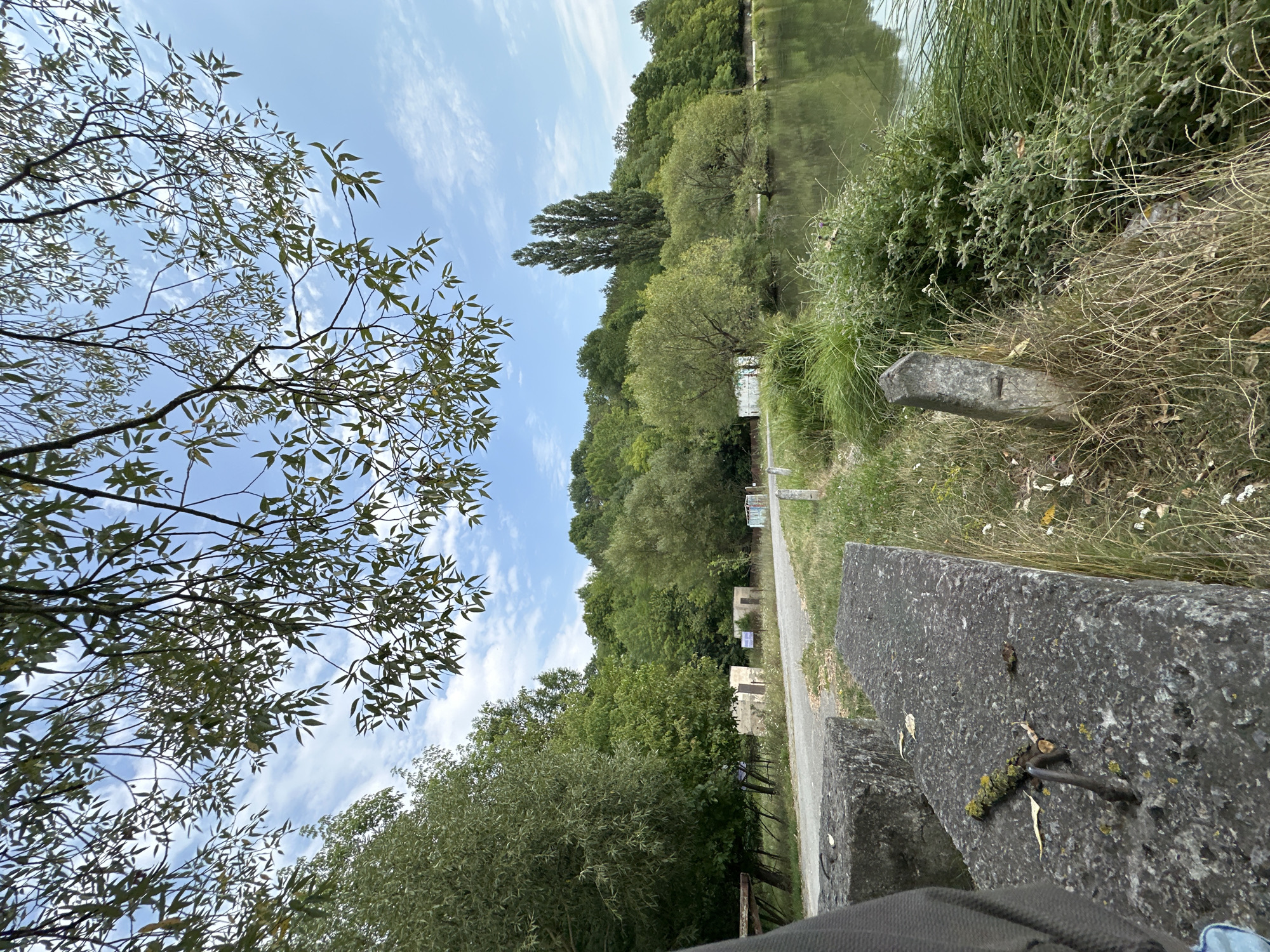 An outdoor, eye-level, full shot captures a tranquil scene beside a calm body of water on a bright, cloudy day. In the foreground, a rough-textured, dark gray concrete barrier runs horizontally across the lower left and right of the frame, with a dark gray garment partially visible in the extreme lower left corner. The barrier has a weathered appearance, with patches of moss and small pebbles embedded in its surface. A dark metal rod protrudes from the barrier in the lower left.
Beyond the barrier, a narrow, grey asphalt road winds its way into the middle ground. Along the left side of the road, several small, light-colored, cuboid structures with dark doorways are visible, suggesting they might be sheds or small outbuildings. A blue sign is mounted on one of these structures. To the right of the road, tall, lush green grass and various low-lying green plants create a natural border. A rough, grey, pointed stone marker stands in the grass to the right of the road.
The middle ground is dominated by a dense line of various green trees, forming a lush backdrop. A tall, slender, dark green tree stands out prominently against the sky behind the other trees. The water on the right side of the frame is dark and still, reflecting the surrounding greenery and the sky. The sky above is a bright blue, with scattered, wispy white clouds. Branches of a leafy tree hang down from the top of the frame, partially obscuring the sky and adding a natural canopy to the scene. The image appears to be taken in Makiv, Ukraine, a location characterized by its natural beauty and proximity to water bodies.