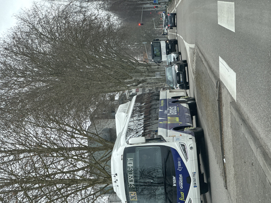 The image captures a street scene featuring a large white and blue bus in the foreground, positioned on the right side of the road. The road stretches into the distance, with a line of traffic, and is bordered by trees on the left.
The bus, which occupies a significant portion of the right side of the frame, is primarily white with blue and yellow graphical elements on its side, bearing the prominent branding "fluo" and "Grand Est". Smaller text visible on the front of the bus includes "Irizar" and "CTBR". Its license plate reads "GW-341-YD". The destination sign above the windshield displays partial text that appears to be "SESSOLSHEIM". The bus seems to be stationary or moving slowly, indicated by the stopped traffic ahead. The road surface immediately next to the bus shows white markings, including sections of what look like pedestrian crossing stripes.
Behind the bus, a queue of vehicles is visible in the same lane. An Audi car is directly behind the bus, followed by a white truck, and then several other cars further down the road. In the distance, a traffic light is clearly visible, illuminated red, suggesting that the vehicles are halted and waiting for the light to change.
To the left of the road, a continuous line of trees with bare, intricate branches extends along the entire length of the street, implying either a winter or early spring season. The sky is overcast, providing a soft, diffused natural light to the scene. Hints of buildings are partially discernible through the dense network of tree branches in the background. The overall impression is that of a typical daytime urban or suburban thoroughfare, momentarily paused due to traffic.