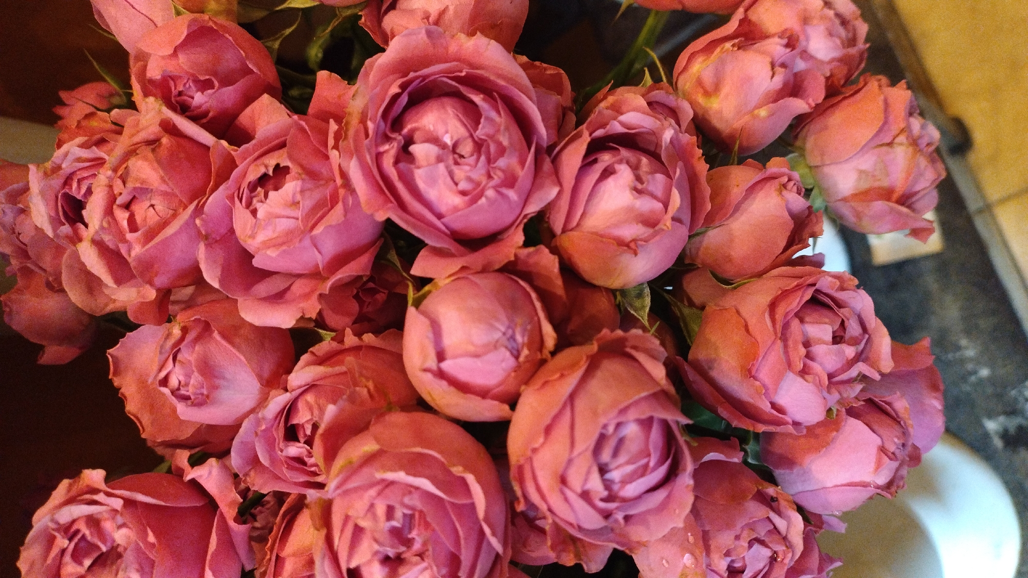 This media file is a close-up, overhead shot of a large bouquet of pink roses. The roses are densely packed, with many buds and some fully bloomed flowers visible. The petals are a soft pink with hints of peach and blush tones, and some appear to have water droplets on them. The background is dark and blurred, with hints of a wooden surface and a white object, possibly a vase or bowl, visible on the right. The lighting suggests an indoor setting, possibly a well-lit room or studio. There is no visible text in the image. The overall impression is one of natural beauty and floral arrangement, evoking feelings of romance, elegance, or perhaps a special occasion. The specific location of Jelgava, Latvia, provides geographical context, but there are no visual cues within the image itself to indicate this location. The time of day and weather are not discernible from the image.
