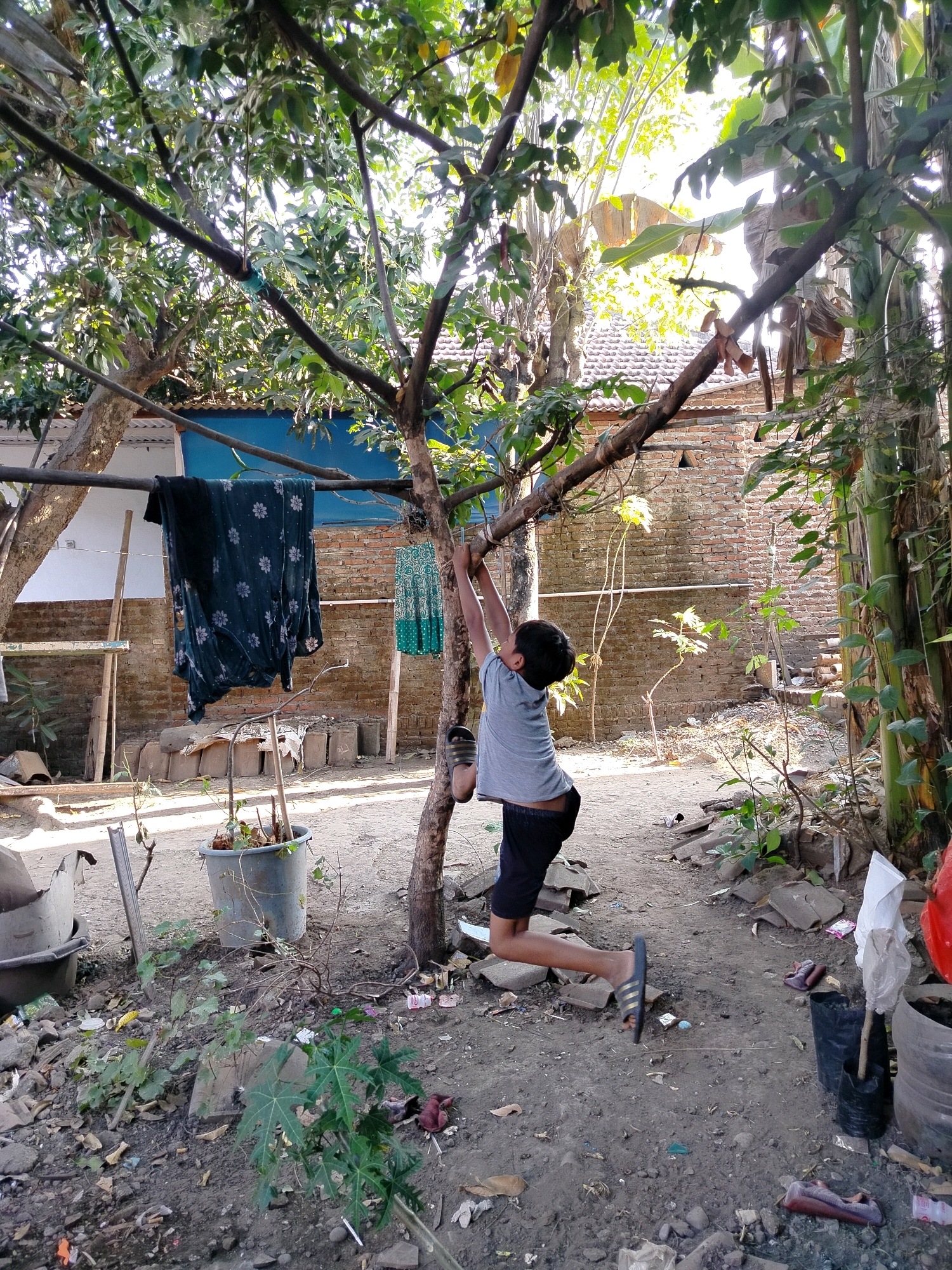 An unidentified child is hanging from a tree branch in an outdoor, cluttered area. The child, wearing a gray t-shirt and black shorts, is facing away from the camera and holding onto the branch with both hands. The scene appears to be a backyard or alleyway, with a brick wall visible in the background. Various objects are scattered on the ground, including discarded items, plants in pots, and laundry hanging on a line. The environment is lit by natural sunlight filtering through the trees. The location is identified as Beloh, Indonesia.