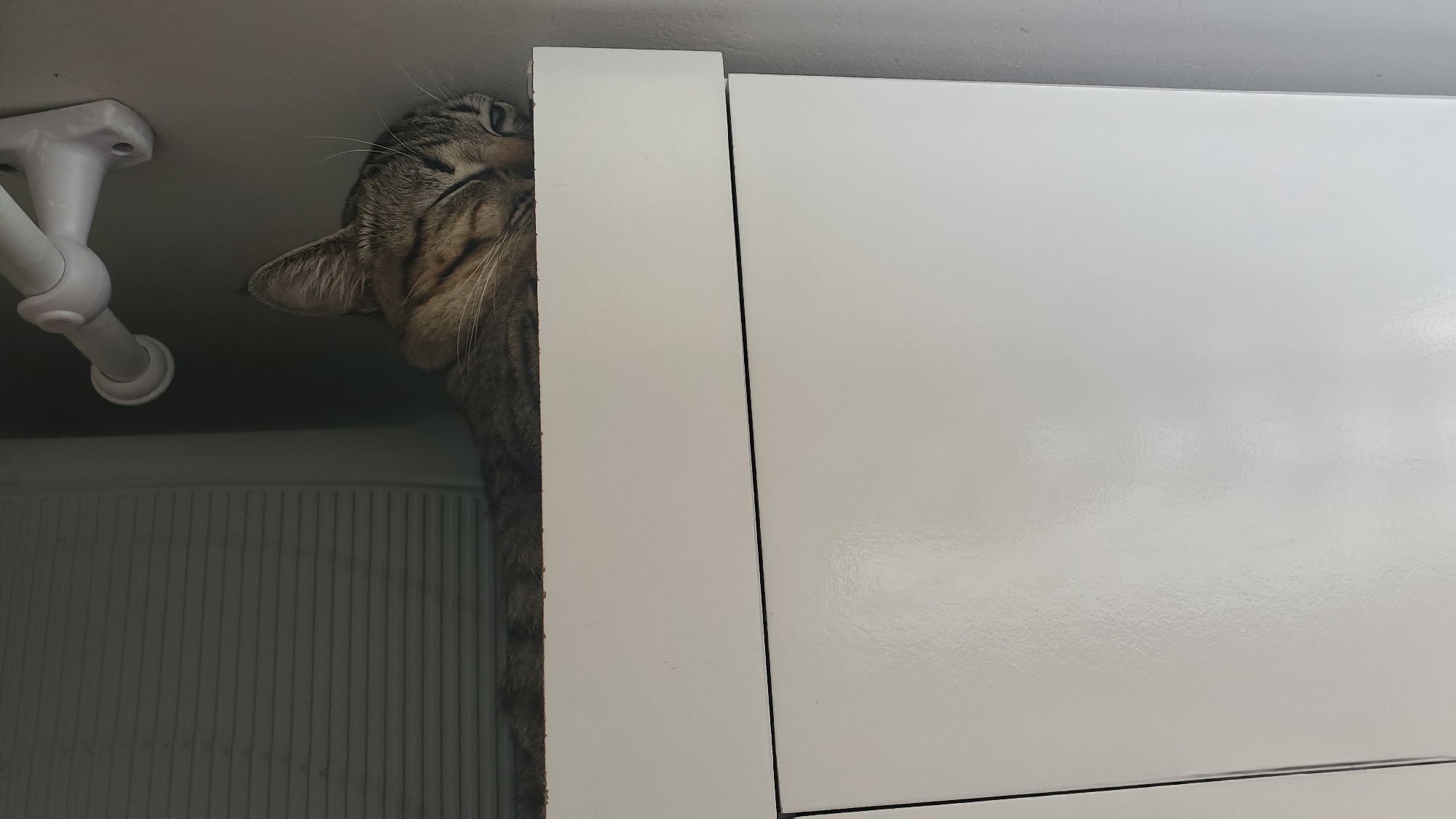 An indoor scene, set in Curitiba, Brazil, features a sleeping tabby cat. The cat, exhibiting brown, grey, and black striped fur, is resting on a white, glossy surface, which appears to be the top of a cabinet or dresser. Its eyes are closed, and its head is nestled against a light grey wall. A textured, ribbed panel is visible behind the cat's body to the left. A white, wall-mounted bracket with a curved support arm is situated above the cat's head. The lower portion of the image displays the continuation of the white, glossy furniture surface, marked by a horizontal seam indicative of a drawer or door division.