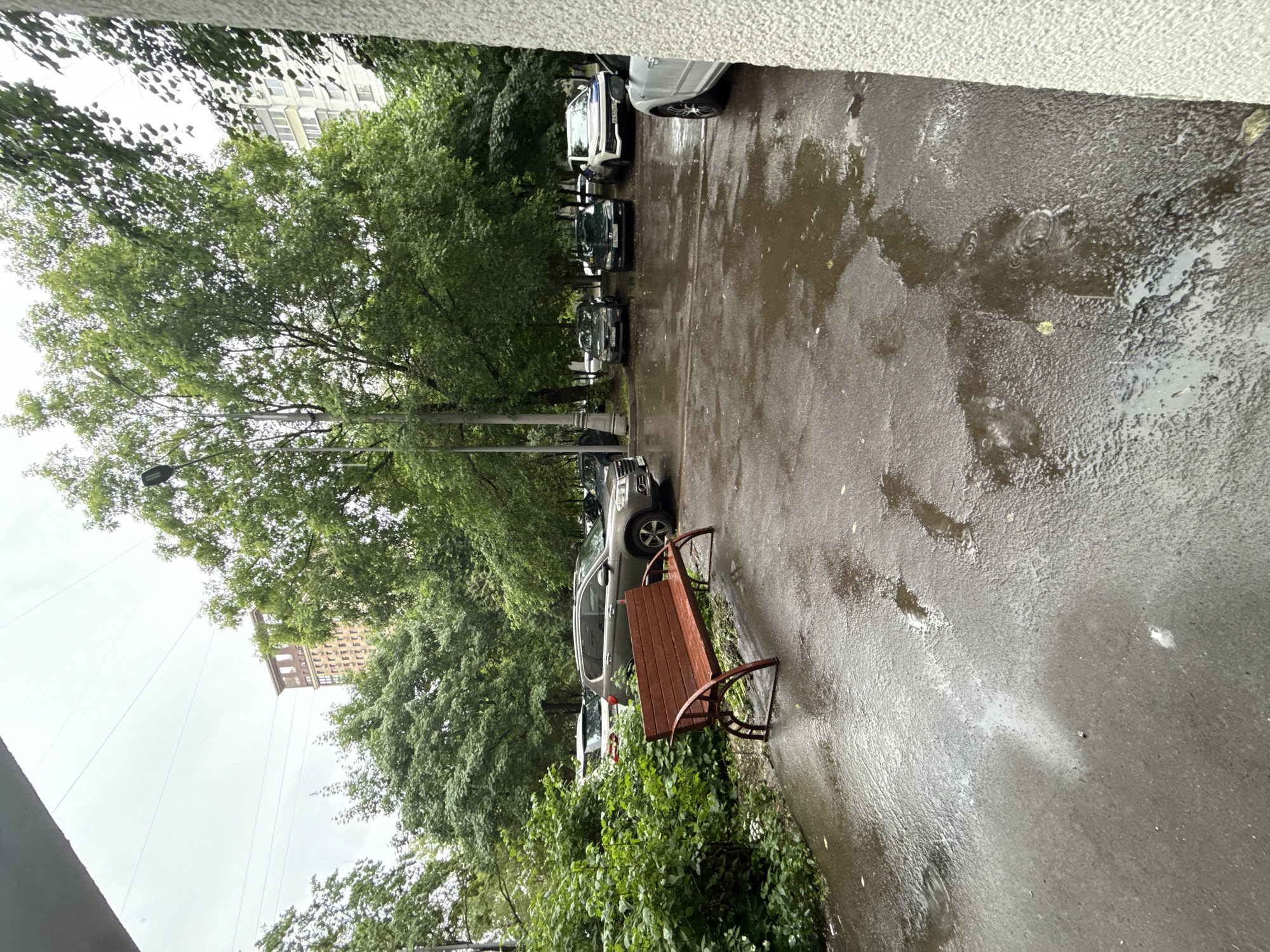 A wet, paved courtyard in Khimki, Russia, is captured on an overcast day. A red wooden bench sits on the left side of the frame, facing away from the viewer. Behind the bench, lush green bushes and trees create a dense backdrop. Several cars are parked in the background, including a dark grey SUV in the center, a white car on the far right, and other vehicles partially visible between the trees. The ground is covered in puddles, indicating recent rain. In the distance, apartment buildings are visible through the trees, with one taller, older-style building to the left and a more modern, lighter-colored building to the right. A street lamp stands tall among the trees on the left. The overall scene depicts a typical residential courtyard in an urban setting, likely during or after rainfall.