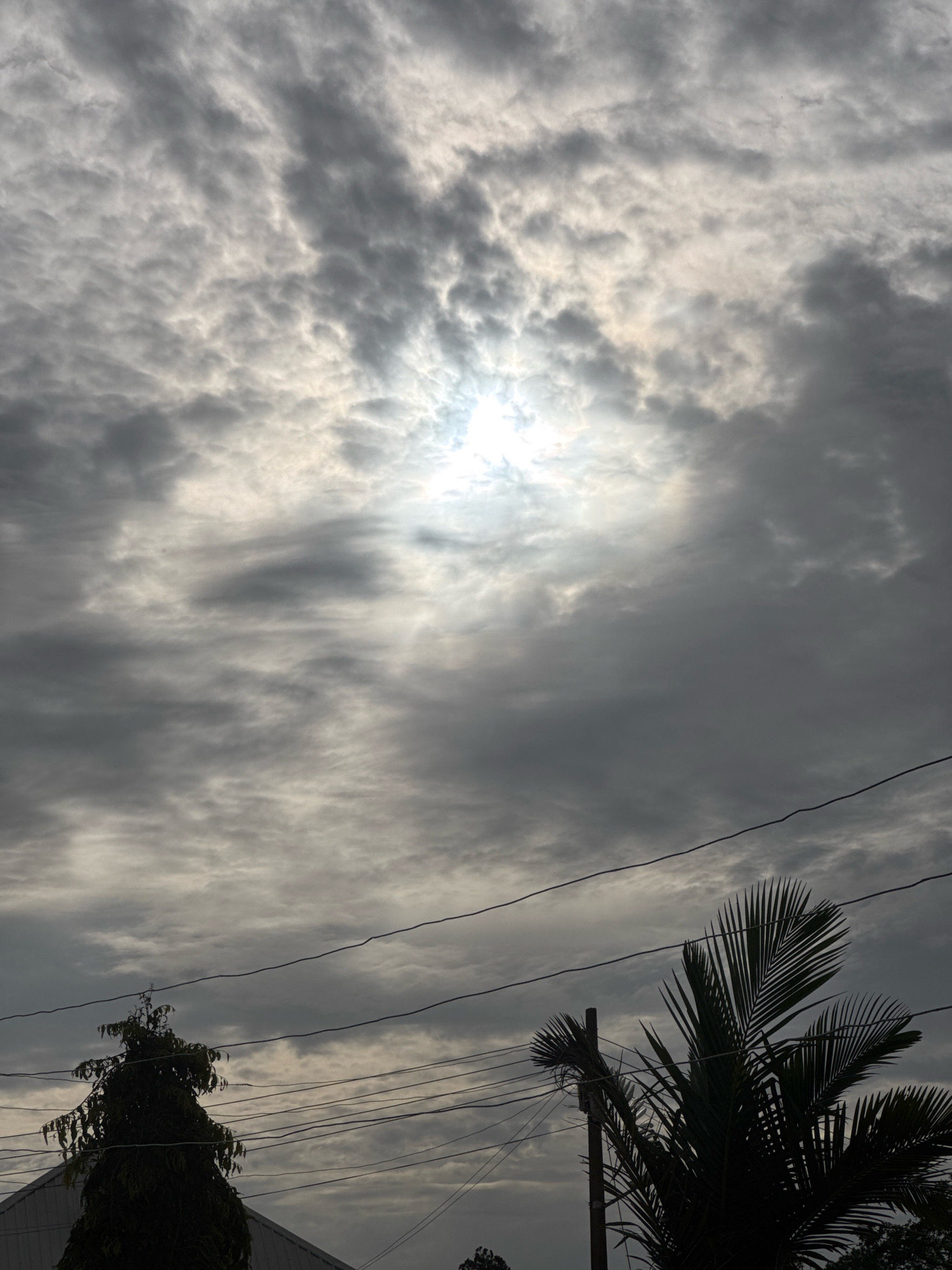 A wide-angle, eye-level shot depicts a cloudy sky with the sun peeking through in the upper center. The sun is obscured by a dense layer of gray and white clouds, creating a diffused light. Several power lines stretch horizontally across the lower portion of the frame. In the foreground, on the right, the dark silhouette of a palm tree with fronds is visible, and on the left, a dark silhouette of a tree and a portion of a building are present. The scene is set outdoors with an overcast sky.