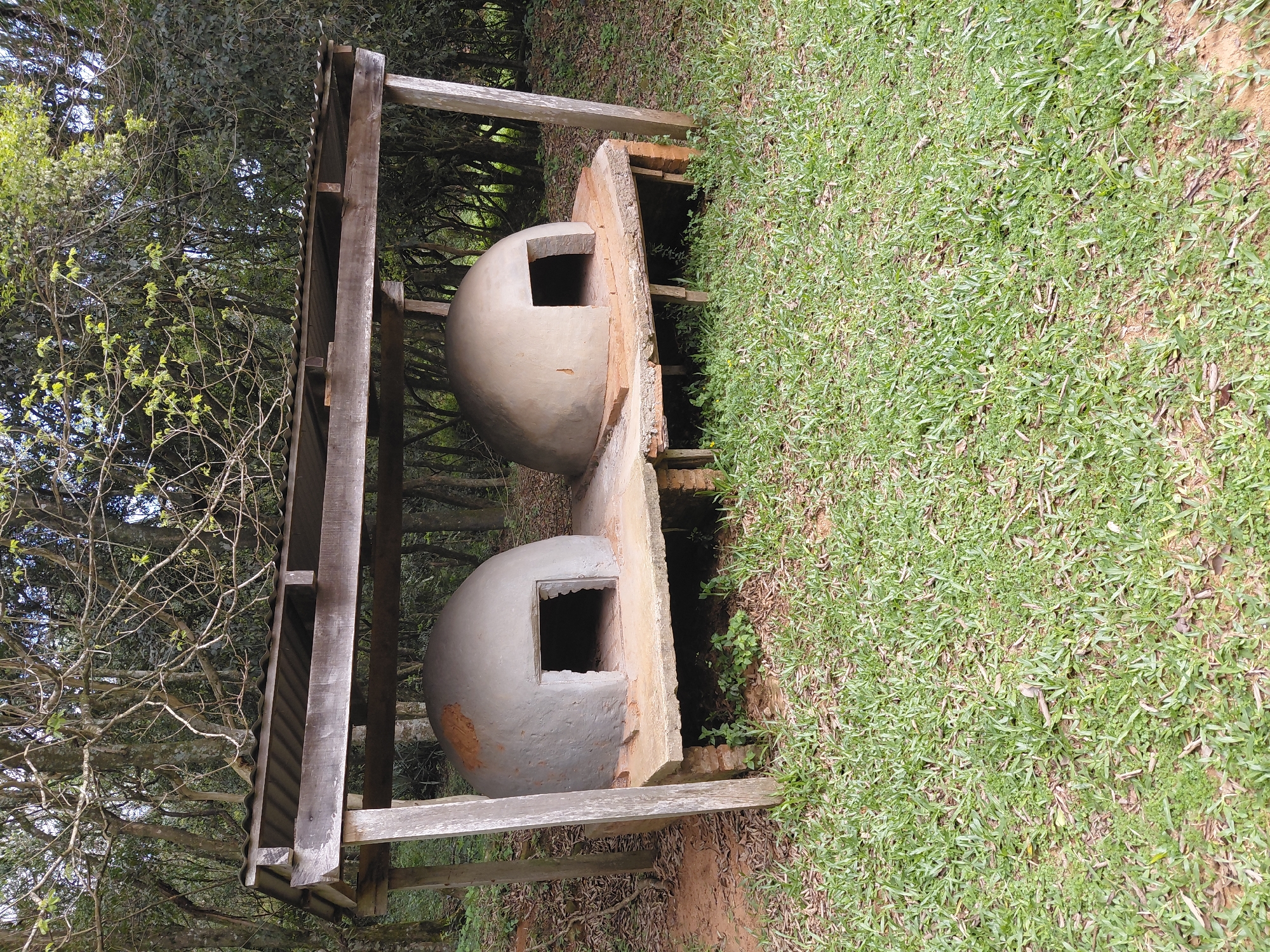 The image displays two domed clay ovens, possibly for baking bread or pizza, situated outdoors under a wooden shelter with a corrugated metal roof. The ovens rest on concrete platforms supported by brick structures. The area is surrounded by lush green grass and trees, suggesting a natural or semi-rural environment. The ovens themselves appear weathered, with the one on the left having a greyish-blue hue and the one on the right a lighter, earthier tone. Small green plants are growing beneath the ovens. The scene is well-lit, indicating daytime. The specific location within the city of Trinidad, Paraguay, is not discernible from the image itself.