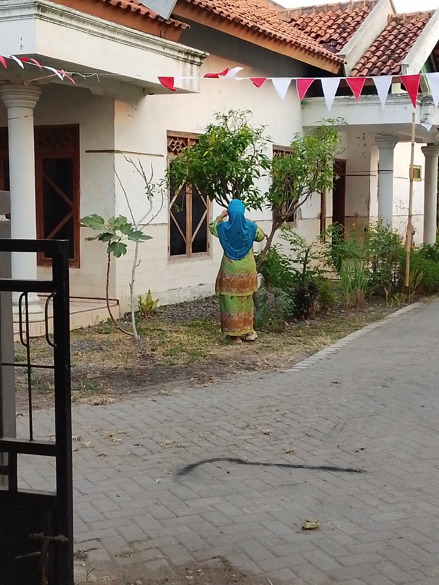 In Lawatan, Indonesia, a person wearing a blue hijab and a patterned green and orange outfit stands in front of a building. The building has a white facade, a tiled roof, and pillars. Red and white triangular flags are strung across the front of the building. The ground in front of the building is paved with grey rectangular bricks, and there is a strip of dry grass and plants along the building's edge. To the left of the frame, a dark metal gate is partially visible. The scene appears to be outdoors during daylight.