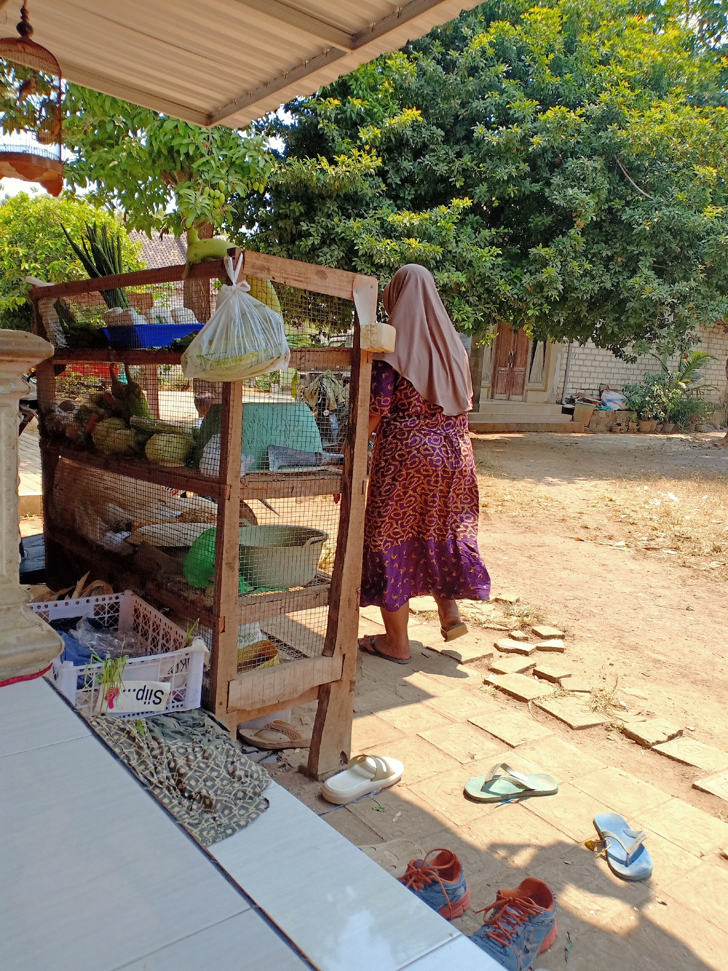 In Palang, Indonesia, a woman wearing a brown hijab and a purple patterned dress stands next to a wooden fruit stand. The stand is stocked with various fruits, some of which are covered in plastic bags. In the foreground, a white tiled patio is visible, with several pairs of flip-flops and a pair of sneakers scattered on the ground. Behind the fruit stand, a large tree with green foliage provides shade, and a brick building with a wooden door can be seen in the background. The ground is a mix of dirt and paving stones, suggesting an outdoor market or residential area.