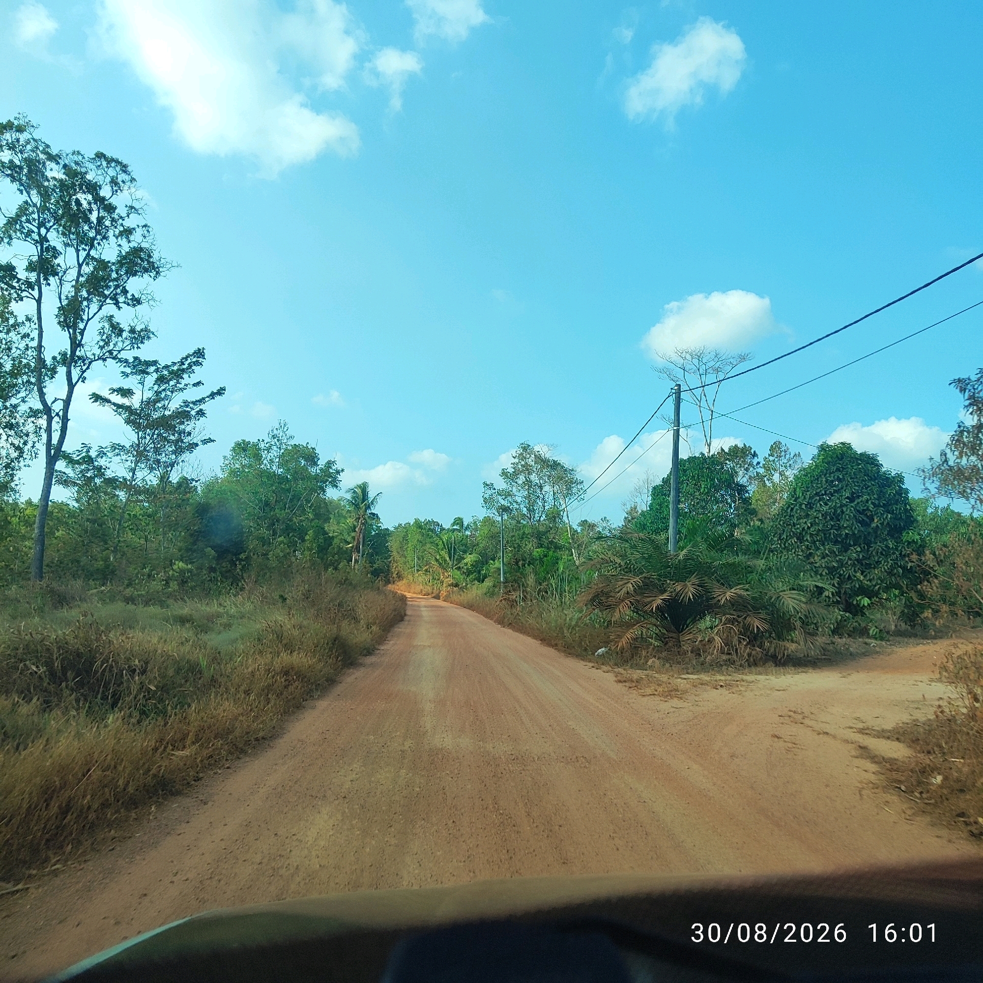 The image depicts a dirt road cutting through a lush, green landscape under a bright blue sky with scattered white clouds. Tall trees with dense foliage line both sides of the road, with dry grasses and smaller plants growing closer to the ground. Power lines are visible, strung between poles that stand amidst the vegetation. The road appears to be unpaved and dusty, with visible tire tracks. The perspective suggests the image was taken from the front of a vehicle. A timestamp at the bottom right corner reads "30/08/2026 16:01". The overall scene is indicative of a rural or undeveloped area, consistent with the outskirts of a town like Pembaharuan, Indonesia.