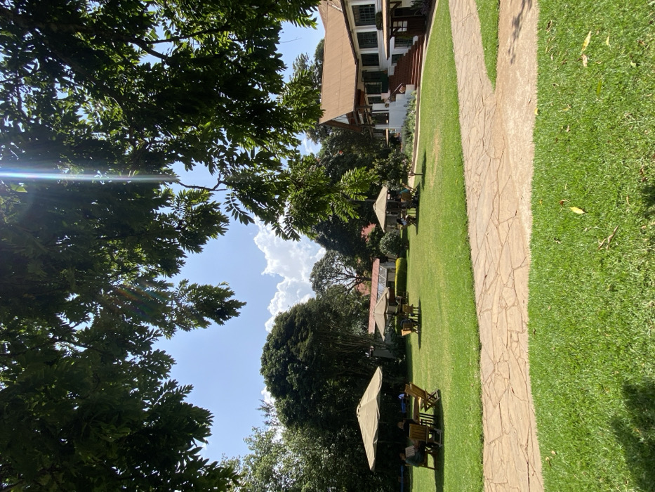This image captures a serene and verdant outdoor setting at Riara Ridge, Kenya, under a bright, sunny sky. The scene is dominated by a meticulously maintained green lawn, traversed by a winding pathway made of light-colored flagstones.
The foreground and left side are framed by the dense foliage of large trees, through which bright sun flares are visible, indicating clear, sunny daylight. In the mid-ground, several outdoor seating arrangements are scattered across the lawn. Each setup includes a light-colored umbrella providing shade, along with tables and wooden chairs. A few indistinct figures of people can be seen seated at these tables, suggesting they are relaxing, dining, or socializing outdoors.
In the background, a multi-story building with a warm brown roof and white walls is visible, partially obscured by trees. Its architectural style suggests a lodge, hotel, or resort property, complementing the tranquil garden environment. The sky above is a clear blue, dotted with large, fluffy white cumulus clouds.
The overall impression is one of peace and relaxation, characteristic of a pleasant outdoor venue or resort in a sunny climate. No visible text is present in the image.