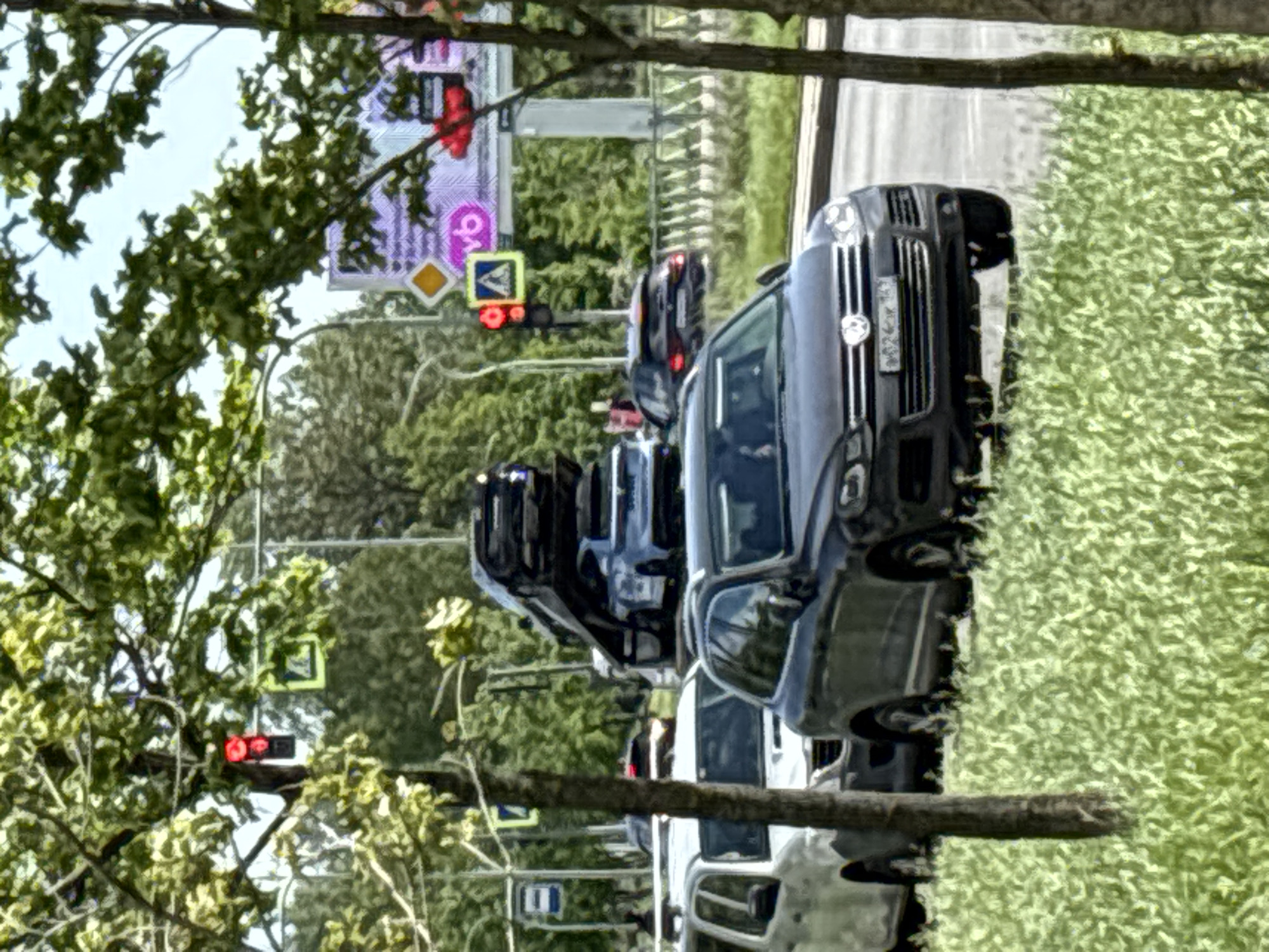 The image depicts a street scene with several cars stopped at a traffic light in what is likely Vsevolozhsk, Russia. The road is lined with trees and grassy areas. A large advertising billboard is visible in the background, partially obscured by tree branches. The traffic light is showing a red light, and several cars are queued up, including a dark-colored SUV at the front of the line, followed by other vehicles. The scene appears to be a typical urban environment with everyday street activity.