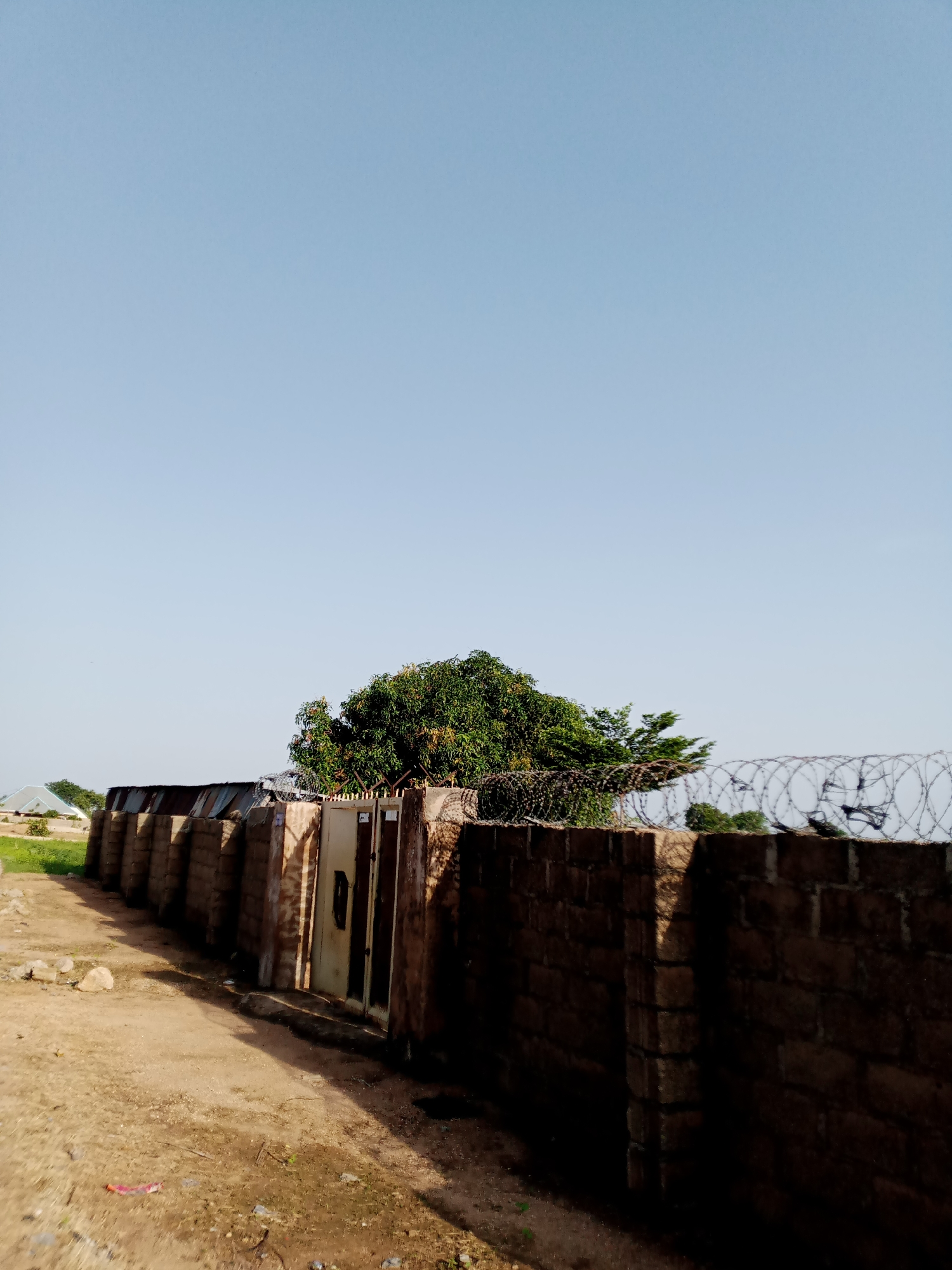 The image shows a view of a brick wall with a metal gate, topped with barbed wire, in the city of Jauro Yinu, Nigeria. The wall runs horizontally across the frame, with the gate situated in the center. Behind the wall, a large, leafy tree is visible. The sky is clear and blue. The ground in front of the wall is dirt, with some scattered rocks and debris. The scene appears to be outdoors, possibly in a residential or commercial area.