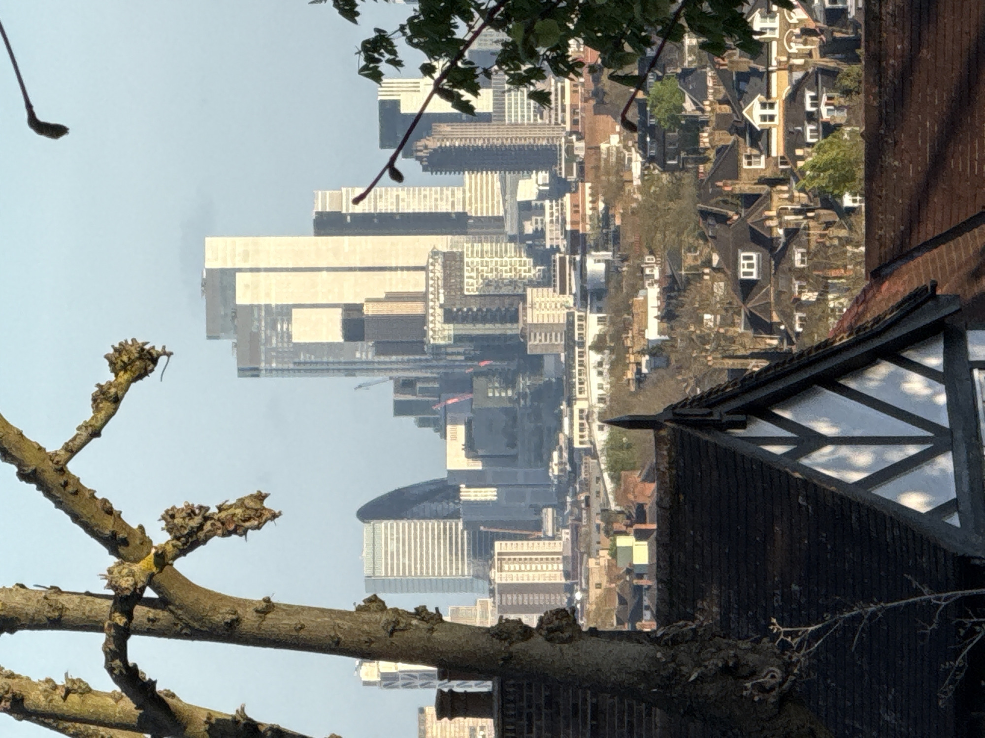This image shows a view of the London skyline, United Kingdom, taken from a high vantage point. In the foreground, there is a large tree branch with bare twigs. To the right, the corner of a dark-colored building with a gabled roof and Tudor-style detailing is visible.
Beyond these elements, the cityscape unfolds, featuring a mix of tall modern buildings and older residential houses. The modern architecture includes a variety of skyscrapers, some with distinctive shapes and designs, while the residential area shows rows of houses with varying rooflines and architectural styles. The sky is pale and clear.