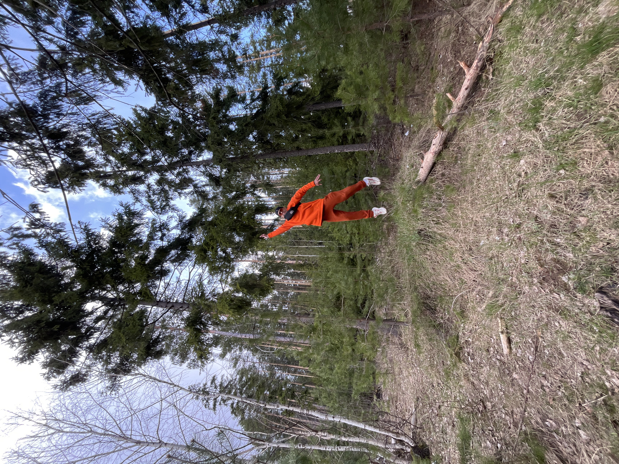The image, set in a forest near Chaikovsky, Russia, captures a person striking a dynamic pose amidst natural surroundings. The individual, dressed in a vibrant orange long-sleeved top and matching orange pants, accessorized with white sneakers and a black crossbody bag, appears to be suspended mid-air, with arms outstretched and legs spread as if in flight or performing a celebratory jump.
The setting is a dense woodland, dominated by numerous tall evergreen trees, likely pines or spruces, which rise vertically towards a bright blue sky dotted with scattered white clouds. In the foreground and to the left, several deciduous trees with bare, slender branches are visible, possibly birches, suggesting the season is either late winter or early spring. The forest floor is covered with a mix of dry, brownish-green grass, fallen leaves, and some sparse patches of new green growth. A light-colored, fallen tree trunk lies horizontally on the ground to the right of the person.
The scene conveys a sense of playfulness and freedom within a serene natural landscape. The time of day is clearly daytime, with bright ambient light. There is no visible text in the image.