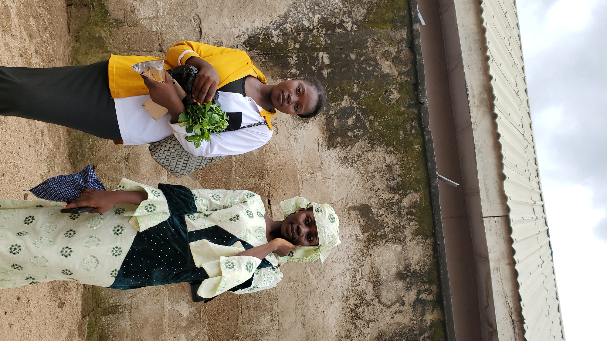 Two young women stand against a textured, weathered brick wall under an overcast sky. The woman on the left wears a yellow and white shirt with a black undershirt and a dark skirt. She holds a bunch of leafy green vegetables in a black plastic bag and a smartphone. She also carries a patterned shoulder bag. The woman on the right is dressed in a light green and white patterned traditional outfit with a matching headscarf. She holds a folded blue and white checkered cloth and a smartphone. The scene appears to be outdoors, possibly in a residential or market area in Jalingo, Nigeria, given the architectural style of the building and the clothing.