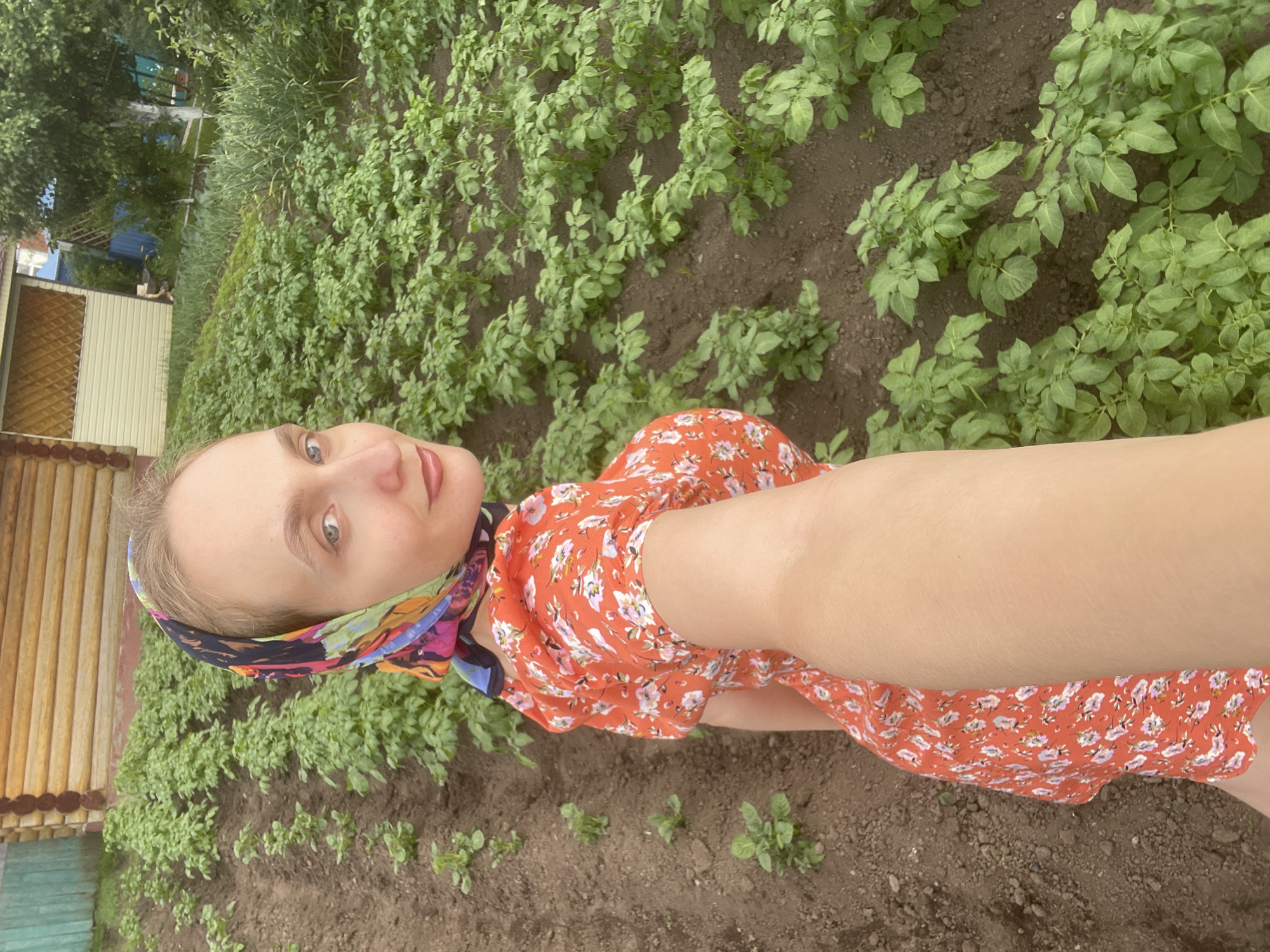 In Kuyeda, Russia, a young woman with blonde hair is captured in a selfie-style photograph taken outdoors in a garden. She is wearing a vibrant orange dress with a floral pattern and a colorful headscarf. The background reveals rows of lush green potato plants stretching into the distance, interspersed with dark soil. A wooden house with a light-colored trim is visible on the left side of the frame, partially obscured by a green fence. Trees and other vegetation can be seen further in the background, suggesting a rural or suburban setting. The woman is looking directly at the camera with a slight smile.