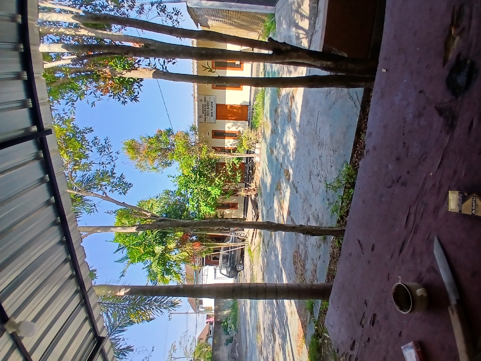 An outdoor scene in the city of Pejaten, Indonesia, features a light-colored building with orange doors and windows, identified by a sign as "BALAI TANI BADAN PENYULUH / BUNGS / DUTA KARYA DESA PEJATEN". The building is set back from a concrete courtyard area. To the left of the building, a dark-colored utility vehicle is parked. Several trees, including palm trees and deciduous trees with green foliage, are scattered throughout the scene. In the foreground, a dark wooden table is visible, with a small white cup, a cigarette pack, a knife, and another cigarette pack on its surface. The sky is clear and blue, indicating a sunny day. The overall environment suggests a rural or semi-rural setting within Pejaten.