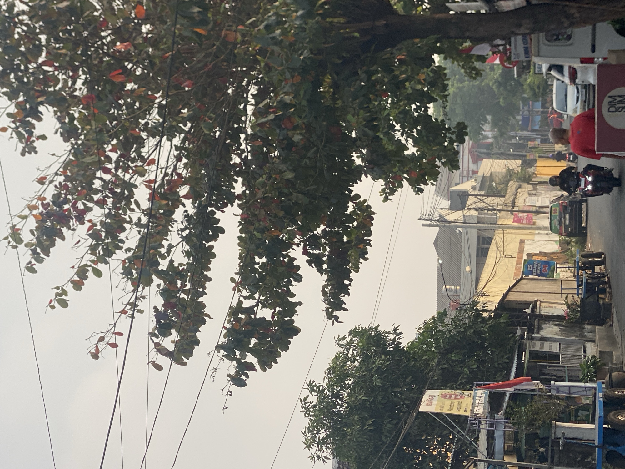 The image captures a street scene in Kediri City, Indonesia, with a focus on a tree with red and green leaves in the foreground. The tree branches extend across the frame, partially obscuring several overhead power lines and a hazy sky. In the background, a narrow street is lined with buildings, some appearing to be shops or homes with yellow and beige facades. A red and white Indonesian flag is visible on a pole attached to one of the structures. Several vehicles, including motorcycles and cars, are present on the street, with some people riding them. A man in a red shirt is walking towards the camera, and another person on a motorcycle is approaching from the distance. Small carts with wheels are parked along the side of the street. A sign in Indonesian, advertising "ES KELAPA MUDA 94", is also visible. The overall impression is of a typical urban street in Indonesia with moderate activity.