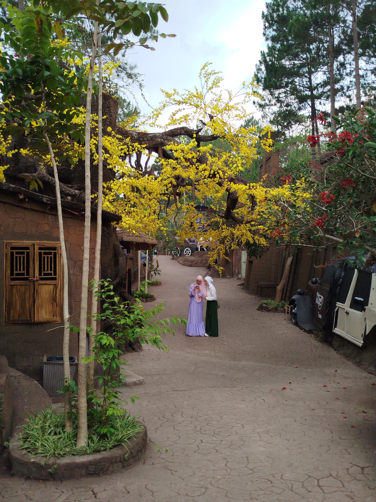 Two women wearing hijabs stand in a pathway in Da Lat, Vietnam. The woman on the left wears a purple dress and a light pink hijab; the woman on the right wears a white top, green skirt, and a white hijab. A yellow flowering tree arches overhead. Buildings with mock-cracked exteriors line the pathway. Parked vehicles are on the right side of the path, and a cart is in the distance. The sky is overcast.
