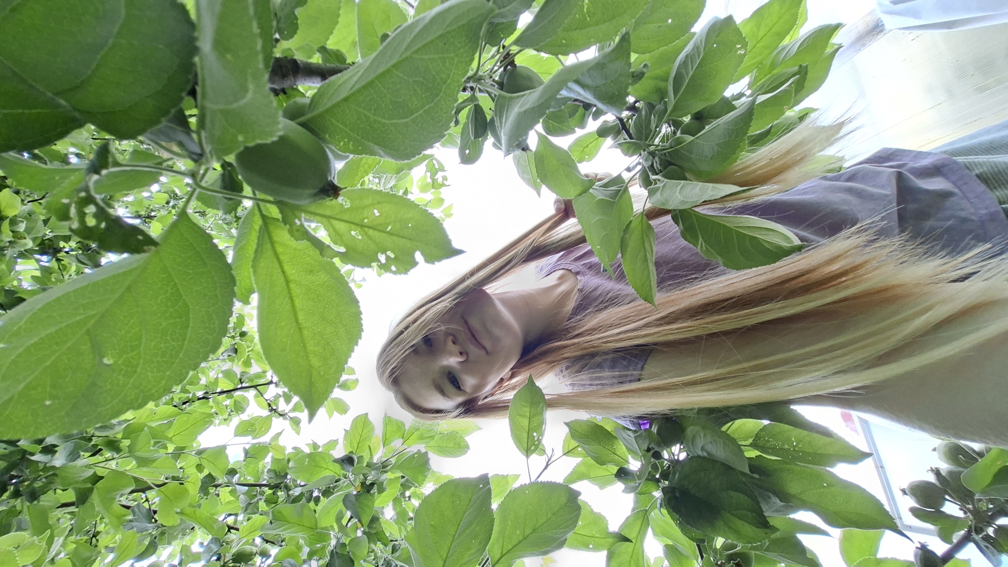 The image is a low-angle shot of a young person with long, blonde hair, looking up from beneath the branches of a tree with green leaves and small, unripe fruits. The person is wearing a purple shirt. The setting appears to be outdoors, likely in a garden or orchard, with a bright sky visible through the foliage. The lighting suggests it is daytime, possibly a sunny day given the brightness of the sky. The perspective creates a sense of being enveloped by nature. There is no visible text in the image. The location context provided is Большой Букор, Russia.
