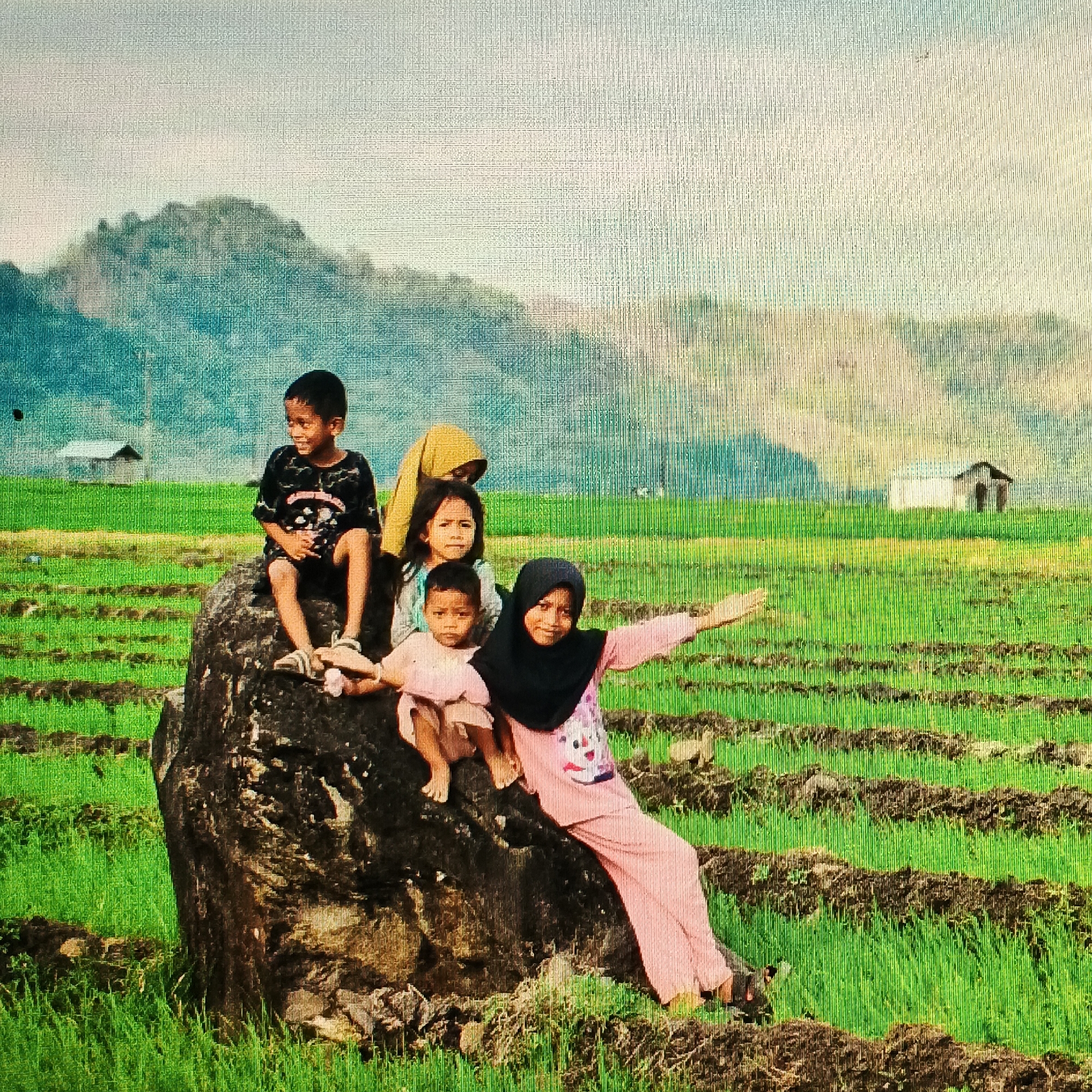 In Ende, Indonesia, five children are pictured in a rural setting, with a lush green rice paddy stretching into the background. A large, dark rock in the foreground serves as a perch for four of the children. A young boy in a black t-shirt and shorts sits on the left of the rock, looking to his right with a smile. To his right, another child, possibly a girl, with dark hair, wears a light-colored shirt and rests her hands on the rock. A very young child, wearing a light pink outfit, is seated in front of her. To the far right, a girl in a black hijab and a pink and white patterned outfit is partially seated, with her right arm outstretched. Behind them, another child, wearing a yellow head covering, is visible. The background features a distant mountain range under a hazy sky, with a small, white structure resembling a shed or small house visible in the middle ground to the left, and a larger, white building with a dark roof in the distance on the right. The rice paddy is neatly arranged in rows, with some dark soil visible between the green shoots. The overall impression is one of a casual gathering of children in a natural, agricultural landscape.