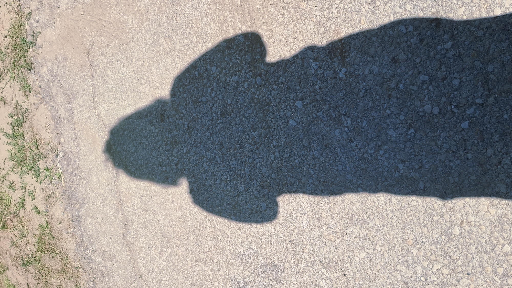 A shadow of a person stands on a dirt road in Montagut i Oix, Spain. The shadow is cast from a person with medium-length hair. The ground is composed of light-colored gravel with scattered patches of dry grass in the upper portion of the image. The shadow occupies the majority of the frame, extending from the top left to the bottom right.