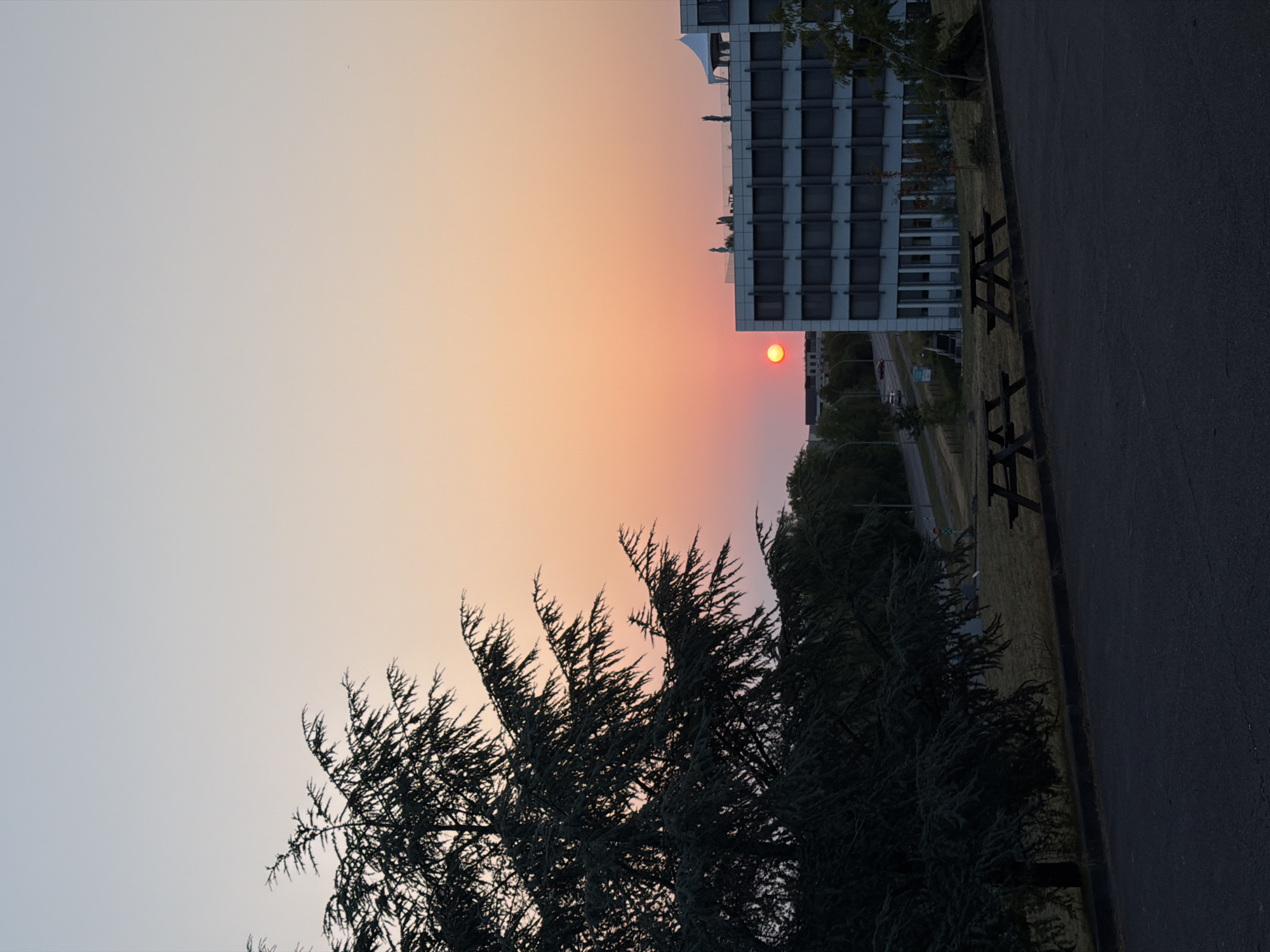 The image shows a sunset scene in Leudelange, Luxembourg. The sun, a bright orange orb, is setting behind a modern, white building with many windows. In the foreground, a dark green tree with needle-like foliage is silhouetted against the sky. Two wooden picnic tables with benches are visible on a grassy area between the tree and the building. A road with some distant traffic is also present. The sky transitions from a pale blue at the top to a soft orange and pink hue near the horizon. The overall impression is one of a tranquil evening in an urban or suburban setting.