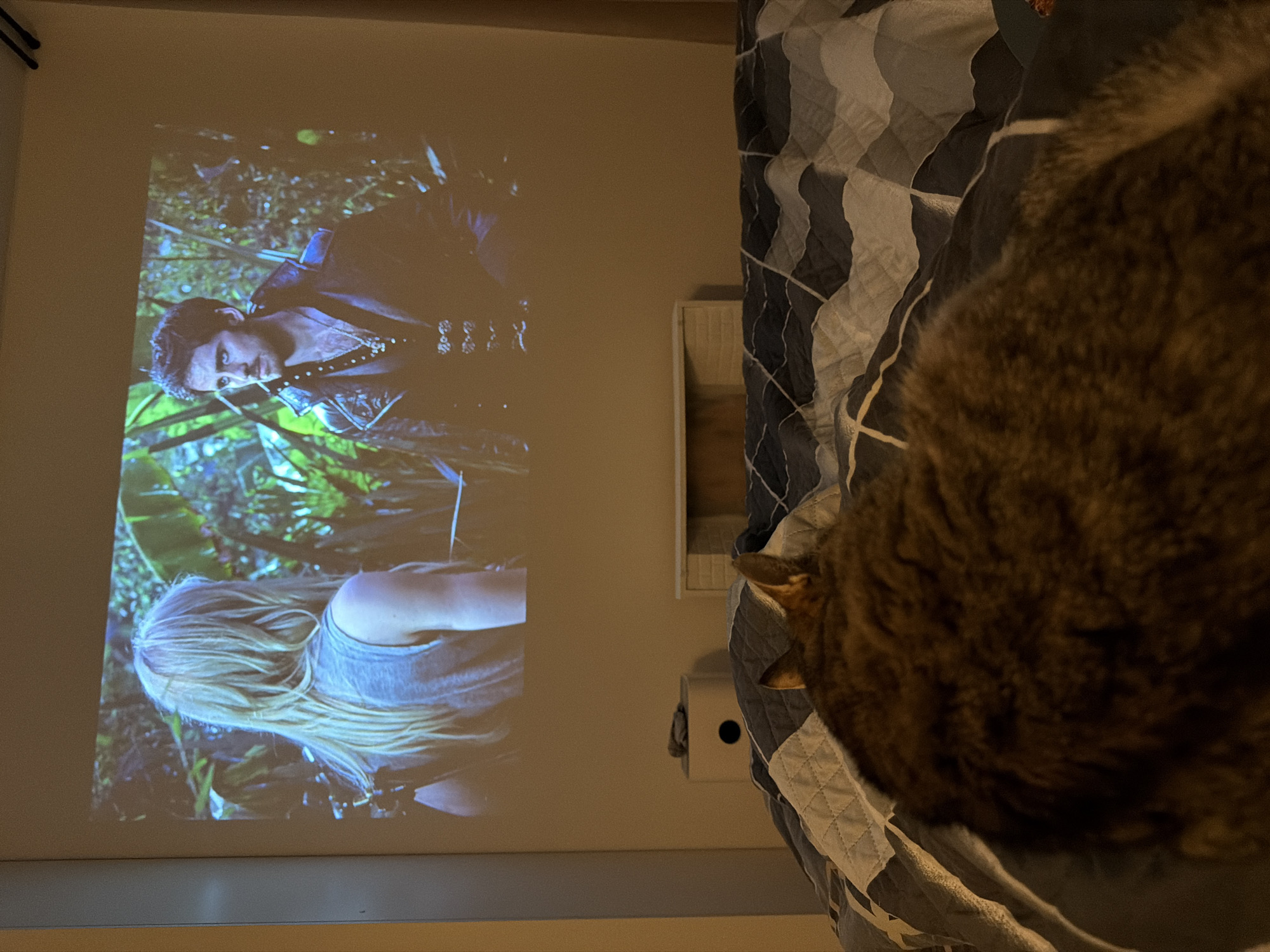 A sideways indoor shot shows a projected image on a light-colored wall alongside a bed with a cat on it. The projected image depicts a man with short dark hair and a leather jacket, possibly in a jungle setting, and a woman with blonde hair. The cat is large, brown, and blurry, mainly occupying the right side of the frame. The bed has a quilt with a gray and white geometric pattern. There's a white object mounted to the wall next to the bed. The location is not specified, so the details about Murino, Russia are not present.