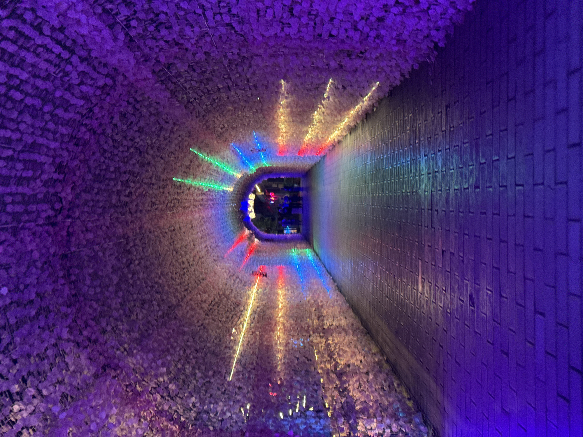 A tunnel lined with artificial flowers is illuminated with colorful lights in Wulingyuan, China. The flowers create a dense, textured surface on the tunnel's ceiling and one side. A brick wall forms the other side. The lights shine in green, blue, red, and yellow. People are visible in the distance.