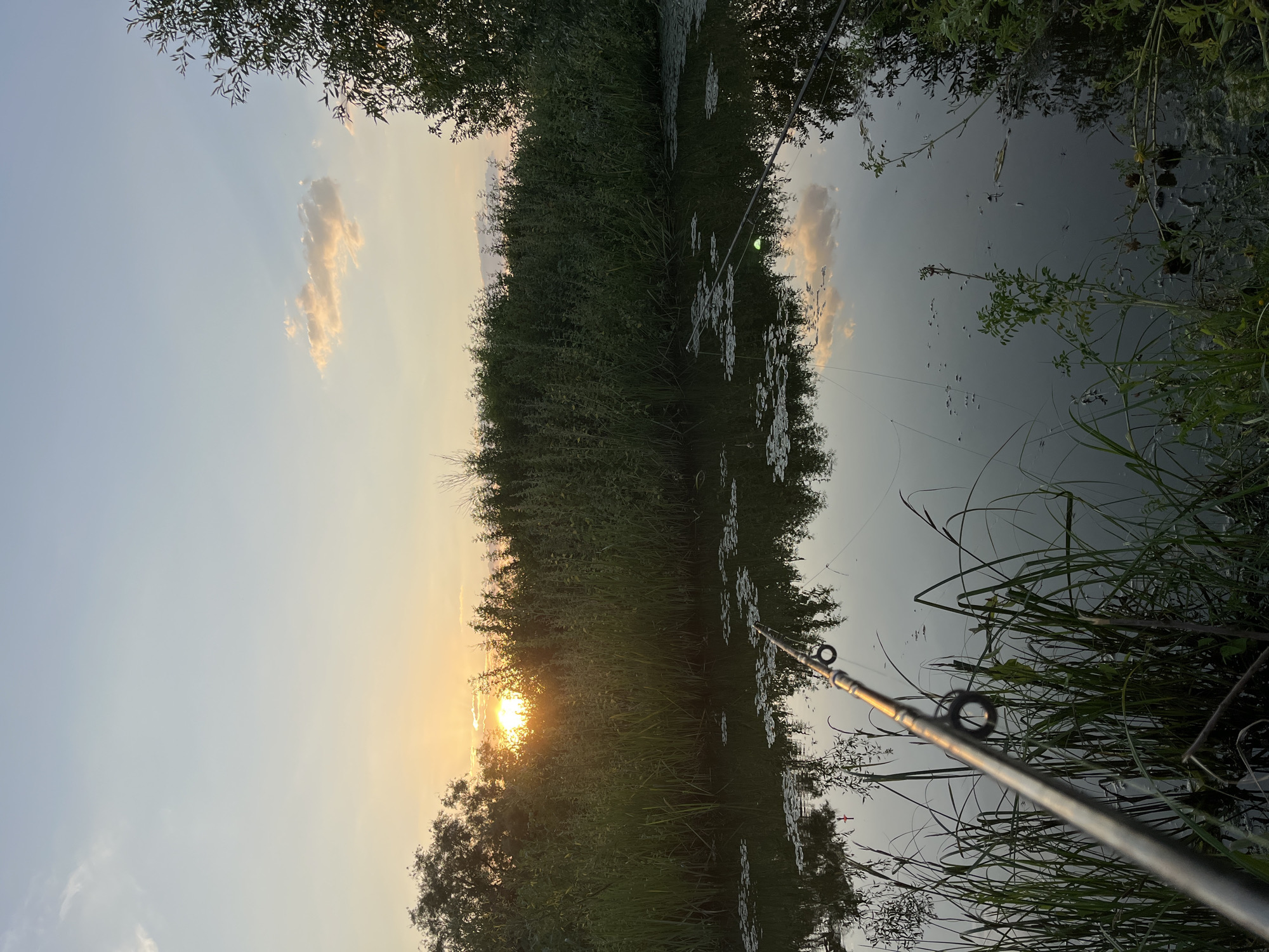 The image depicts a tranquil scene of fishing on a calm body of water at sunset, likely near the village of Krasnyye Barrikady, Russia, given the metadata. The sun, a brilliant orange orb, is setting behind a dense line of trees and lush green vegetation that borders the water. The sky above is a soft gradient of pale blue and orange, with a few wispy clouds tinged with the warm hues of the setting sun.
In the foreground, a fishing rod is prominently positioned, angled towards the water. The rod is made of a metallic material and has visible guides. A fishing line extends from the tip of the rod into the water. The surface of the water is dark and reflective, mirroring the sky, trees, and vegetation with remarkable clarity. Small green lily pads are scattered across the water's surface, adding to the naturalistic feel of the scene. A small, luminous green bobber is visible floating on the water. The banks of the water body are lined with tall grasses and other verdant plants, suggesting a wild or semi-wild natural environment. The overall atmosphere is one of peaceful solitude and the quiet beauty of nature at dusk.