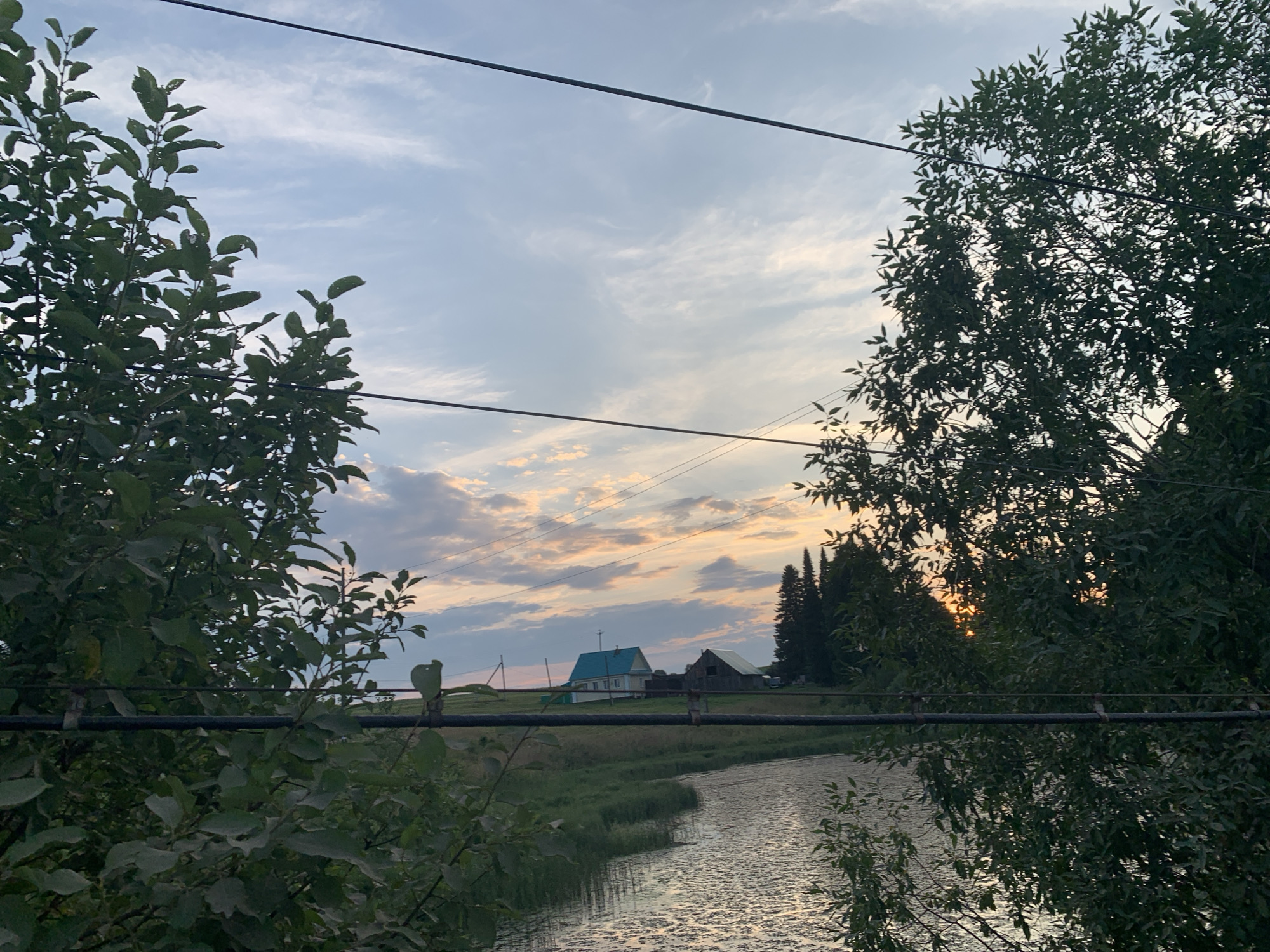 The image depicts a rural scene at dusk, likely in the village of Panteleevka, Russia. The sky is filled with soft, wispy clouds painted in hues of orange, pink, and blue, indicating the setting sun. In the middle ground, a small river or stream meanders through a grassy field. On the far bank, a cluster of houses is visible, with one prominent house featuring a bright turquoise roof. Further in the distance, a dark line of evergreen trees stands against the horizon. The foreground is dominated by lush green foliage from trees and bushes, with power lines strung across the scene. The overall atmosphere is tranquil and serene, capturing a peaceful moment in the countryside. There are no people or animals present in the image.