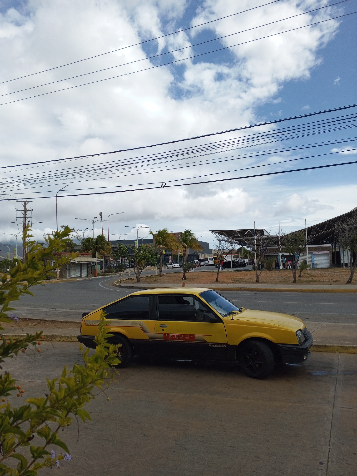 The image shows a yellow and black car, possibly a taxi, parked on a concrete surface with a flowering bush in the foreground. Behind the car is a road with palm trees and streetlights along the side. Further back, there's a complex of buildings and structures, including what appears to be an open-air market or bus station with a distinctive roof design. Power lines are visible overhead against a partly cloudy sky. The location is likely in the city of Juan Griego, Venezuela, based on the architectural style and the presence of palm trees. There are a few distant figures walking around in front of the building complex.