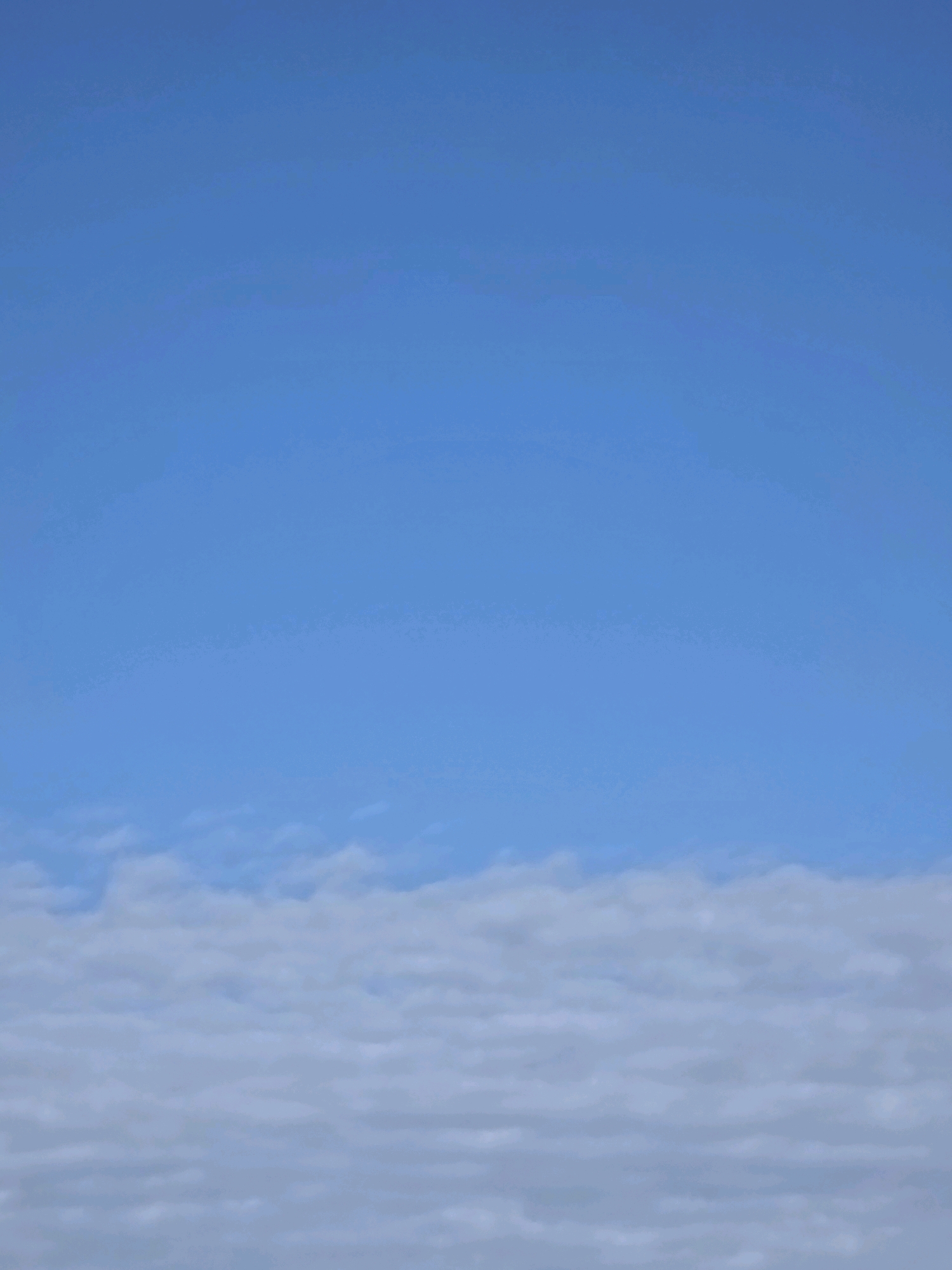 The image shows a clear blue sky with a layer of fluffy white clouds forming a horizon line in the lower portion of the frame. The clouds appear to be spread out evenly across the sky. The lighting suggests it is daytime, likely with good visibility. The scene is an outdoor environment, likely from a high vantage point looking upwards. There is no discernible city landscape or specific identifiable landmarks, therefore no location in Chelyabinsk, Russia can be determined. There are no people, subjects, objects, or actions depicted in the image.