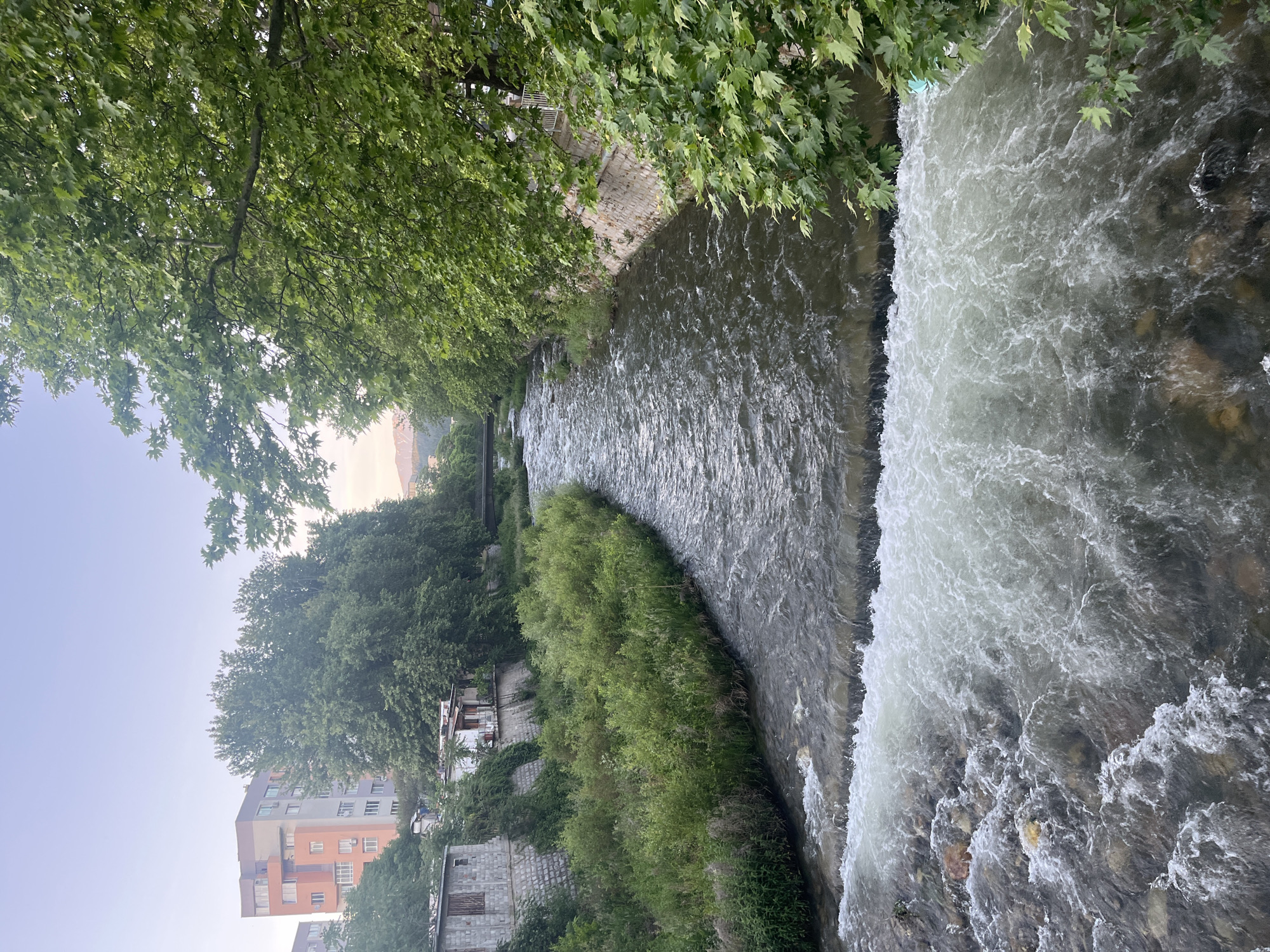 The image shows a river flowing through the city of Blagoevgrad, Bulgaria. The river is bordered by lush greenery and trees on one side and a waterfall on the other. A few buildings and houses are visible in the background, adding an urban touch to the natural landscape.