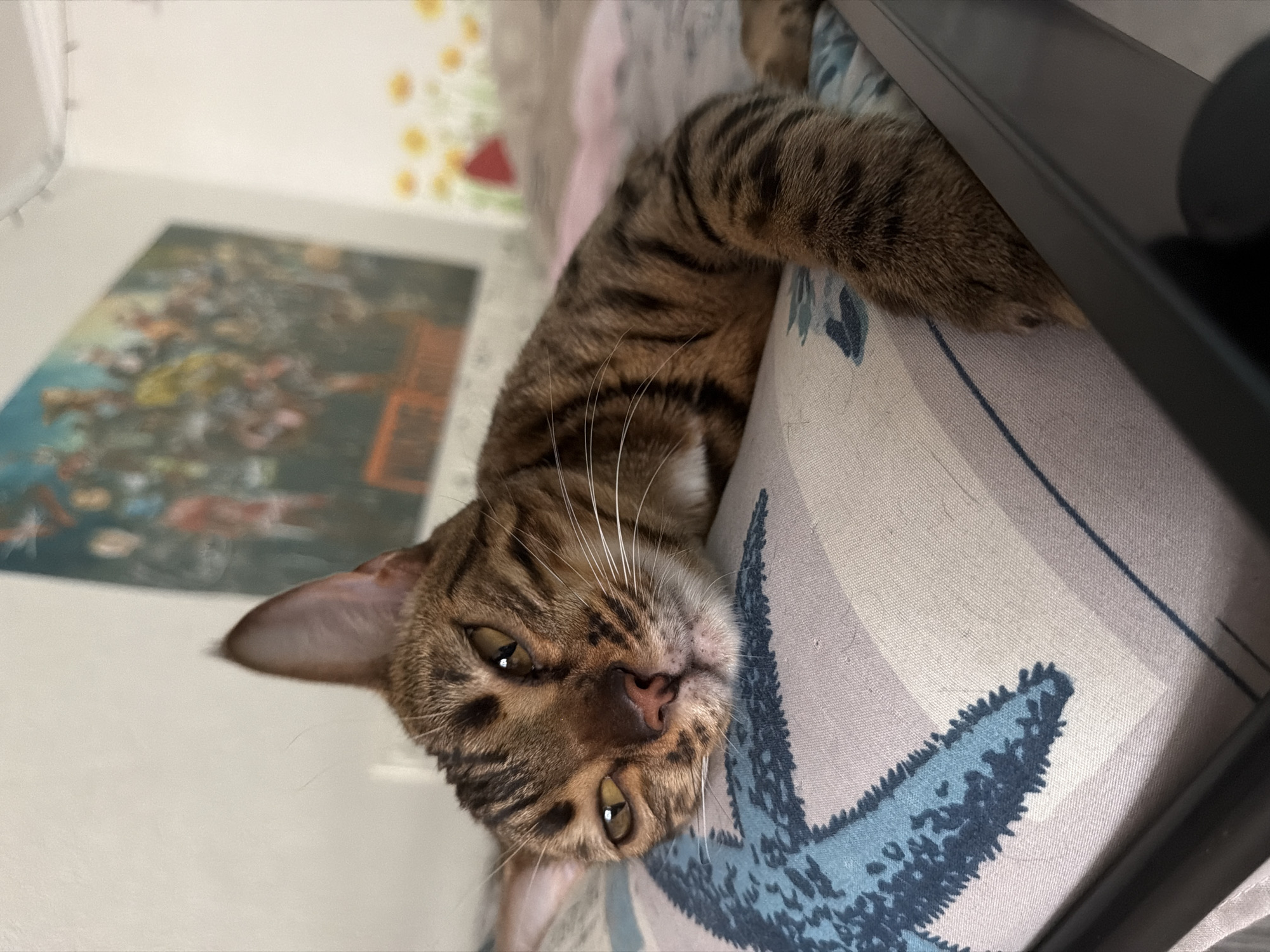 The image shows a close-up of a tabby cat resting its head on a pillow. The cat has brown and black stripes and yellow eyes. The pillow is light purple and has a blue starfish pattern. In the background, there is a wall with a poster and some small yellow flowers. The lighting is soft and natural. There is no visible indication of the location in the city of Dnipro, Ukraine, or any other specific geographical information.