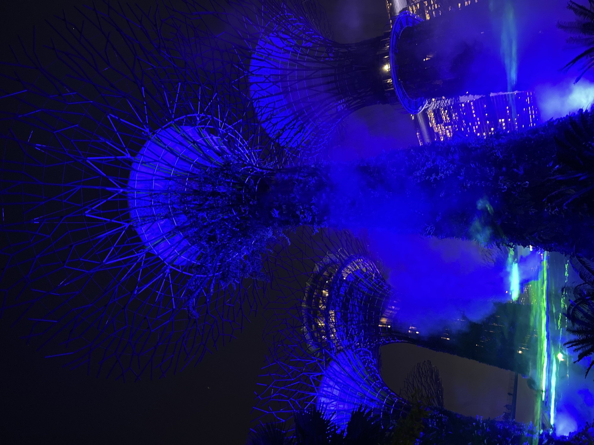 This is a nighttime, eye-level, low-angle, vertical photograph of the Supertree Grove at Gardens by the Bay in Singapore. The scene is illuminated by vibrant blue and green lights, creating a dramatic and otherworldly atmosphere.
The foreground is dominated by the towering structures of the Supertrees, which are artificial trees with a trunk and canopy made of steel and concrete. Their lattice-like exteriors are outlined in bright blue light, creating intricate patterns against the dark sky. The large, bulbous canopies of the Supertrees are also lit with blue light, giving them a luminous, almost alien appearance.
In the midground, mist or fog is illuminated by the blue and green lights, swirling around the base of the Supertrees. This mist adds depth and a sense of mystery to the scene. Through the mist and between the Supertrees, glimpses of the surrounding urban landscape are visible. The background features the distinctive skyscrapers of Singapore's central business district, their windows lit with warm yellow and white light, contrasting with the cool blue tones of the Supertrees.
The overall impression is one of a futuristic and spectacular urban garden, blending natural forms with advanced technology and lighting. The image captures a sense of wonder and awe, highlighting the unique architectural and horticultural achievements of Gardens by the Bay.