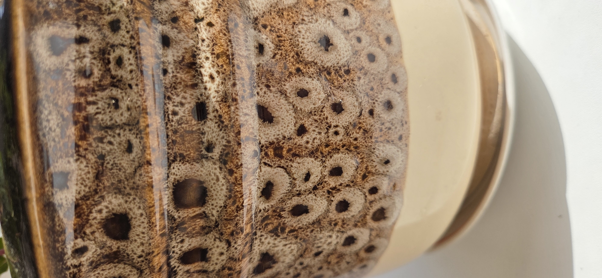 A close-up, brightly lit image captures a ceramic object, likely a mug or a vase, showcasing its distinctive glaze and form. The object features a unique speckled pattern covering most of its visible surface, characterized by dark brown spots and mottled brown-beige areas. This pattern has a porous or cellular appearance, with irregular lighter rings often surrounding darker centers. Vertical ridges are subtly visible beneath the glossy glaze on the patterned section, adding to its visual texture.
To the right, a significant portion of the object transitions into a solid, uniform light beige or cream color, providing a smooth contrast to the elaborate pattern. The surface is glossy, reflecting light brightly, which indicates a glazed finish. The bright illumination also casts a soft shadow of the object onto the plain, light-colored background, suggesting daylight or strong artificial lighting. The overall aesthetic is earthy, dominated by various shades of brown and cream. No people, activities, or visible text are present in the image.