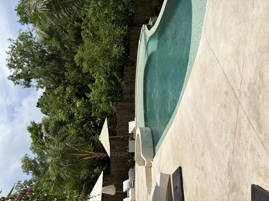 A curved swimming pool with clear water sits next to a light beige concrete patio. Lounge chairs with white cushions are arranged near the pool. Behind the patio, a bamboo fence separates the area from a lush green forest with palm trees. White and beige umbrellas provide shade. The sky is visible with scattered clouds.