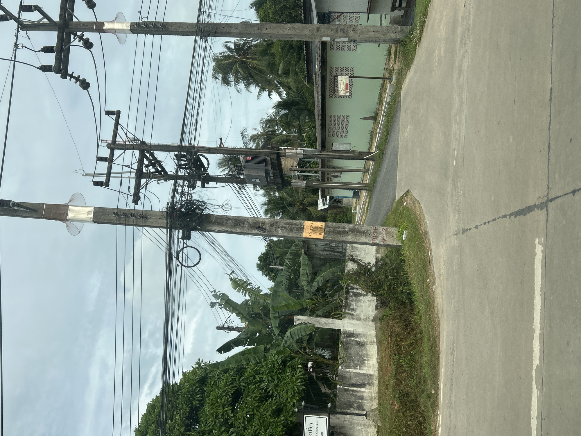 This is a photograph taken in Pa Khlok, Thailand, featuring a street scene with numerous utility poles and power lines. The poles are made of concrete and are laden with a dense network of electrical wires, transformers, and insulators. A transformer is visible mounted on a crossbar between two poles, with a red warning label on its side. The surrounding environment includes lush green trees, including banana trees, and a concrete wall bordering a property. Buildings with light green exteriors and decorative perforated patterns on their walls are visible in the background, along with palm trees. A basketball hoop is mounted on one of the buildings. The road in the foreground is paved and shows a white lane marker. The sky is overcast with clouds. The image appears to have been taken from a vehicle as it moves along the road, given the perspective.