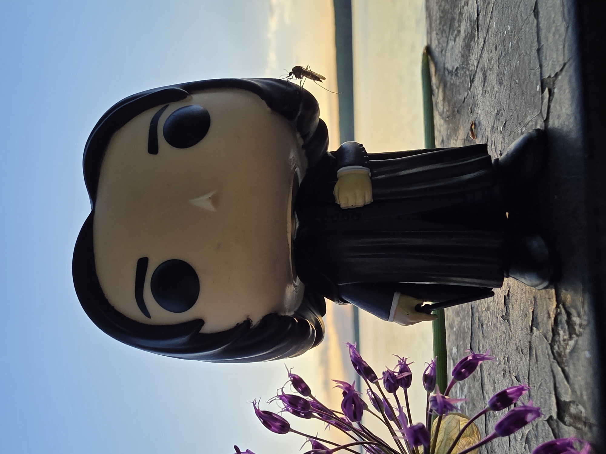 A Severus Snape Funko Pop figure stands on a textured surface, adjacent to a green stem supporting purple flowers. A mosquito rests on the figure's head. The background shows a sky with colors transitioning from blue to yellow, suggesting either sunrise or sunset. The exact location within Chaikovsky, Russia, cannot be determined from the visual information alone.