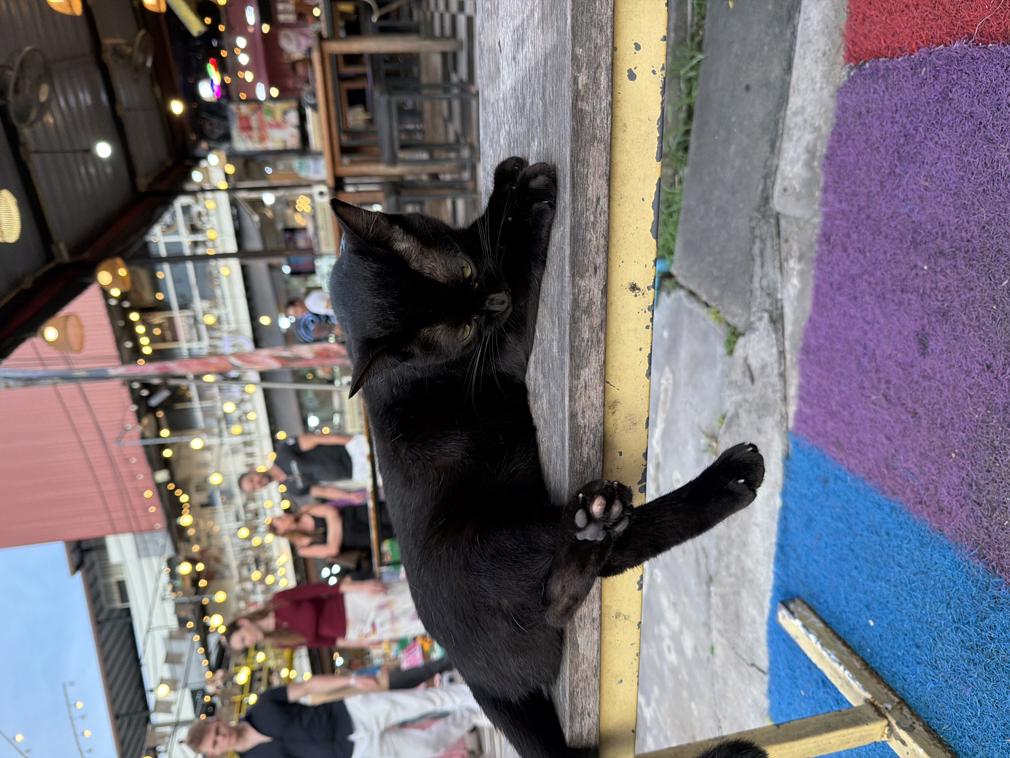 A black cat is lying on a wooden bench in an outdoor market. The cat is in focus and takes up most of the frame. In the background, people are walking around and there are stalls with lights strung up. The market appears to be busy. The location is Phuket City Municipality, Thailand.