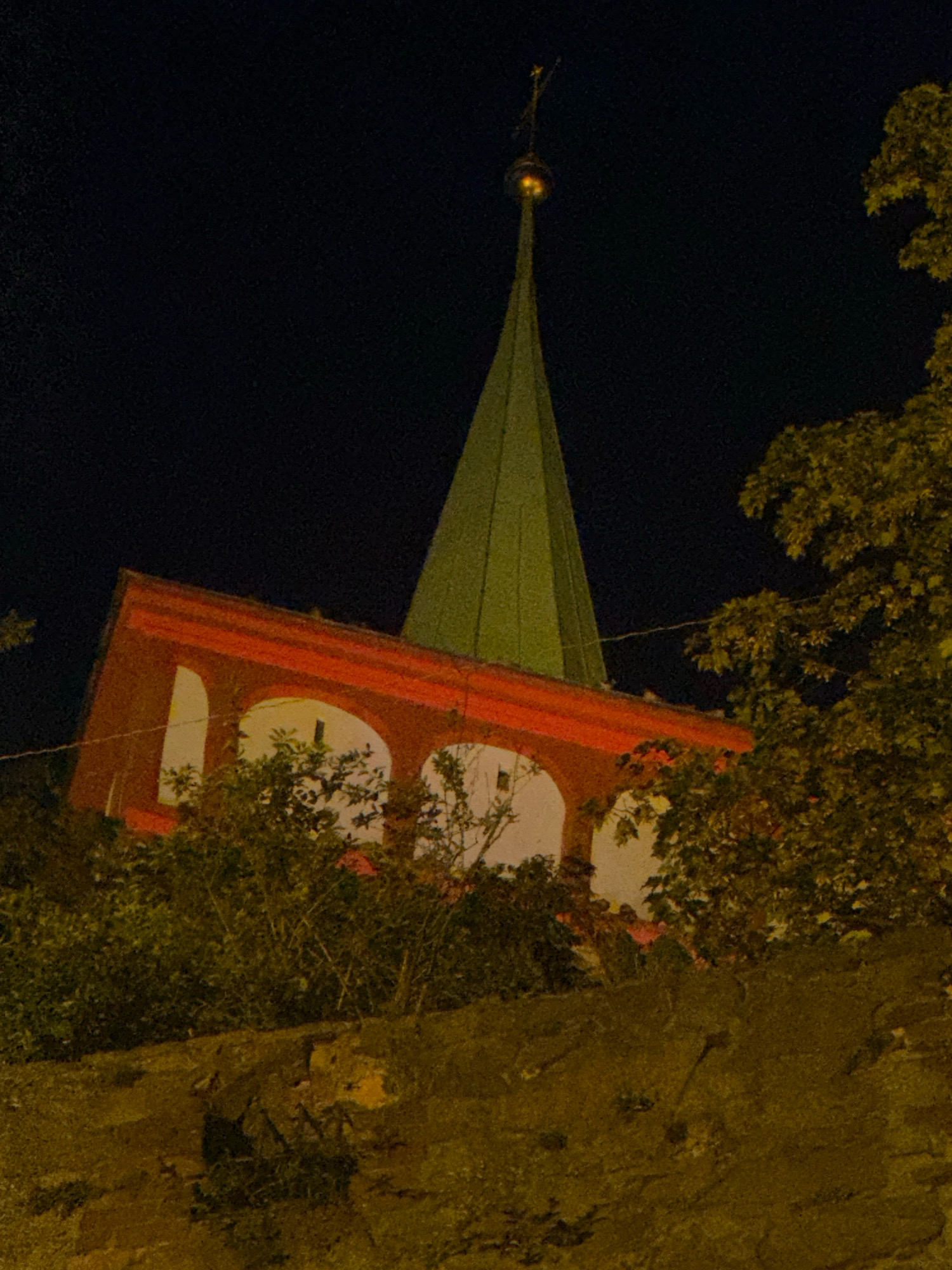 An image taken at night shows the exterior of a building with a prominent red facade and arched windows. Above the red structure, a green spire rises into the dark sky, topped with a small illuminated orb and a cross. Trees and foliage partially obscure the lower portion of the building and the foreground. The image is likely of the Reichenbastion tower in Bautzen, Germany, which is part of the city's historical fortifications.