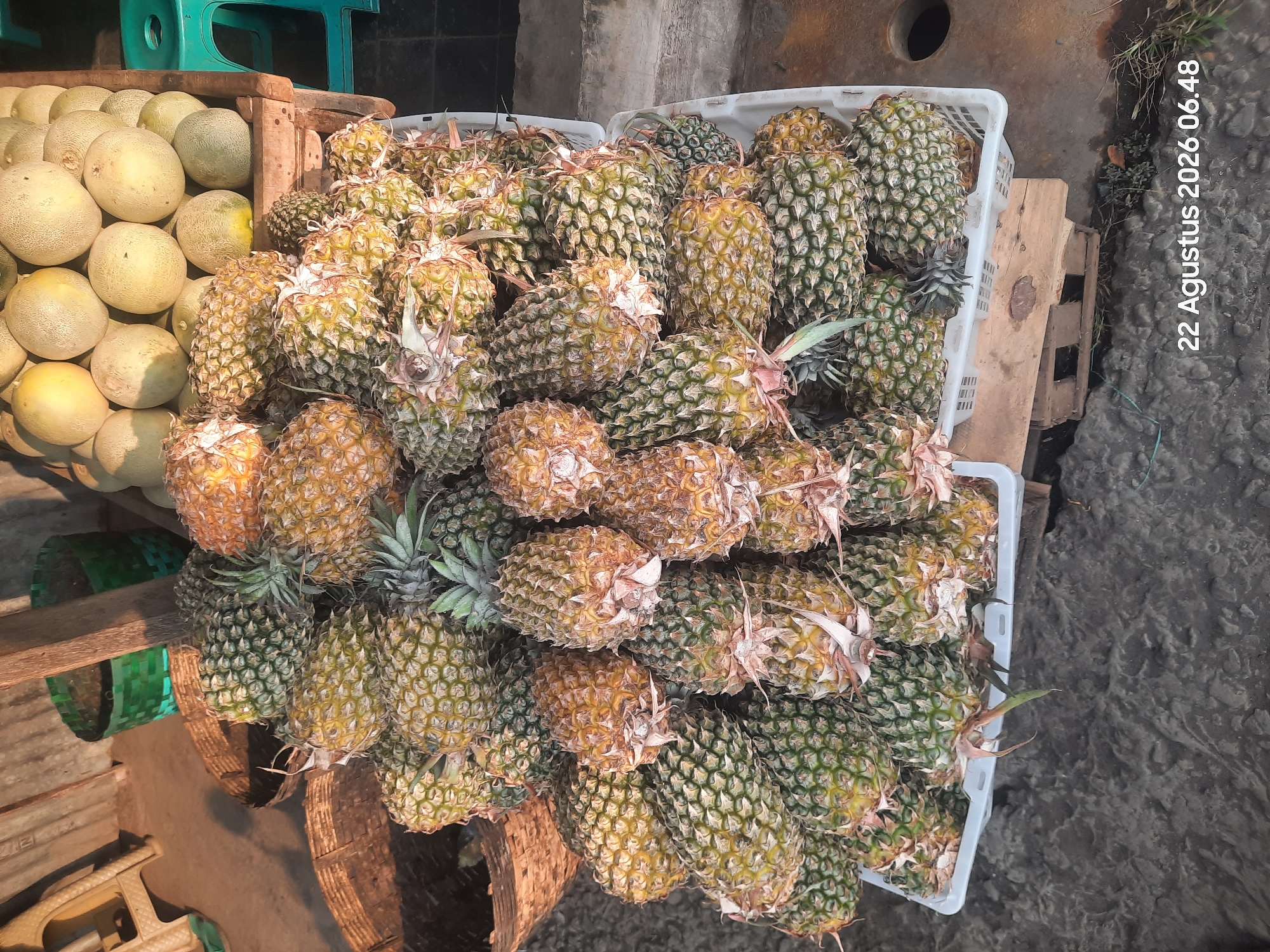 A high-angle, close-up shot captures a market stall in Pajarakan Kulon, Indonesia, displaying a large pile of pineapples. The pineapples, predominantly green and yellow with some showing ripe brown hues, are arranged in a white plastic crate. Some pineapples are stacked on top of others, with their spiky crowns and textured exteriors clearly visible. In the background, partially visible are baskets, melons, and a teal-colored stool. The ground appears to be paved. A timestamp in the lower right corner reads "22 Agustus 2026 06.48".