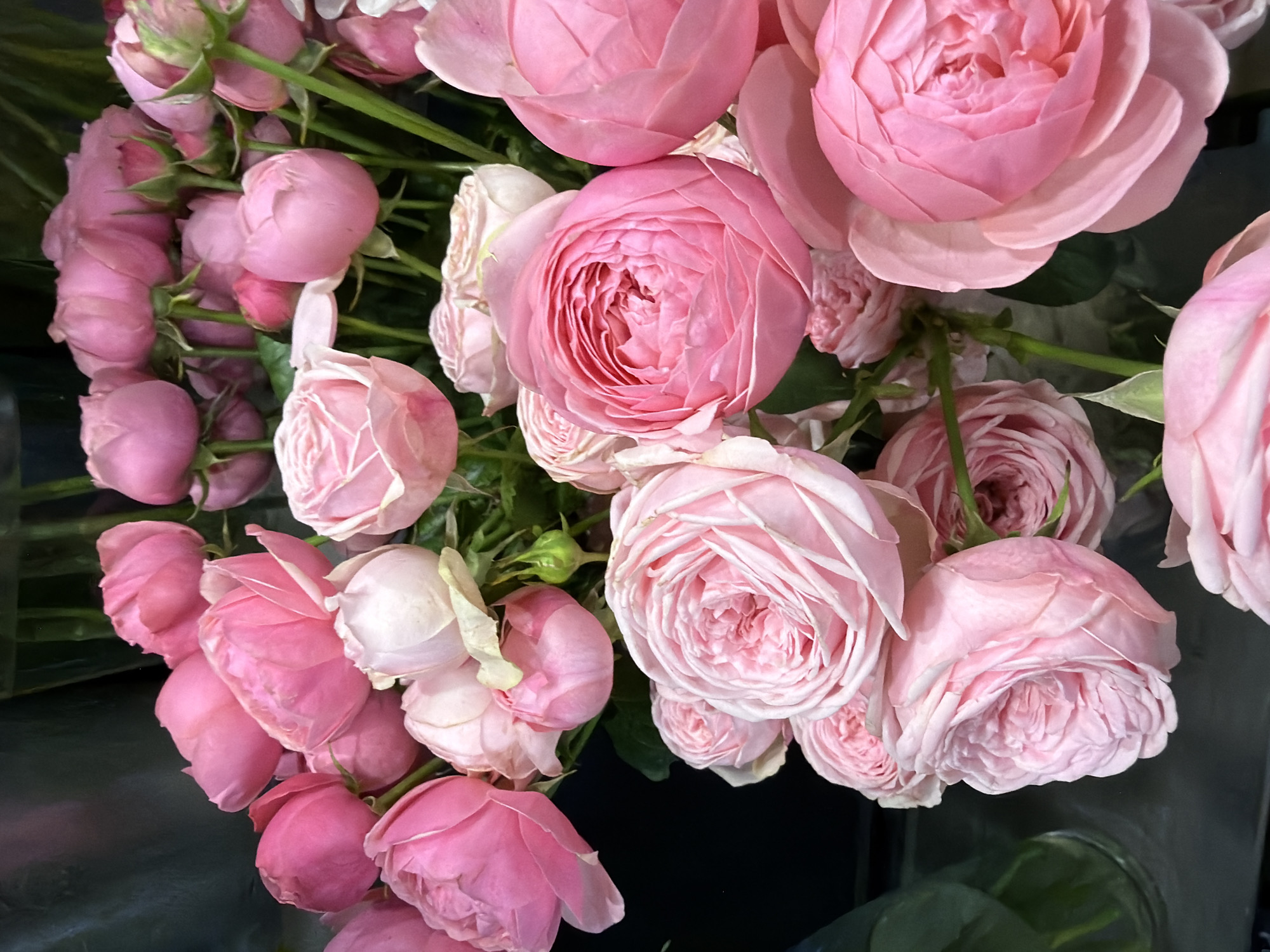 A close-up, high-angle shot shows a large bouquet of pink roses against a dark, blurry background. The roses are in various stages of bloom, with some tightly furled buds and others fully open with many delicate petals. The colors range from a pale, almost white pink to a vibrant fuchsia. Green stems and leaves are visible throughout the arrangement, adding contrast to the soft pink hues. The lighting is soft, highlighting the textures and curves of the rose petals. The scene appears to be indoors, possibly in a florist shop or a home setting.