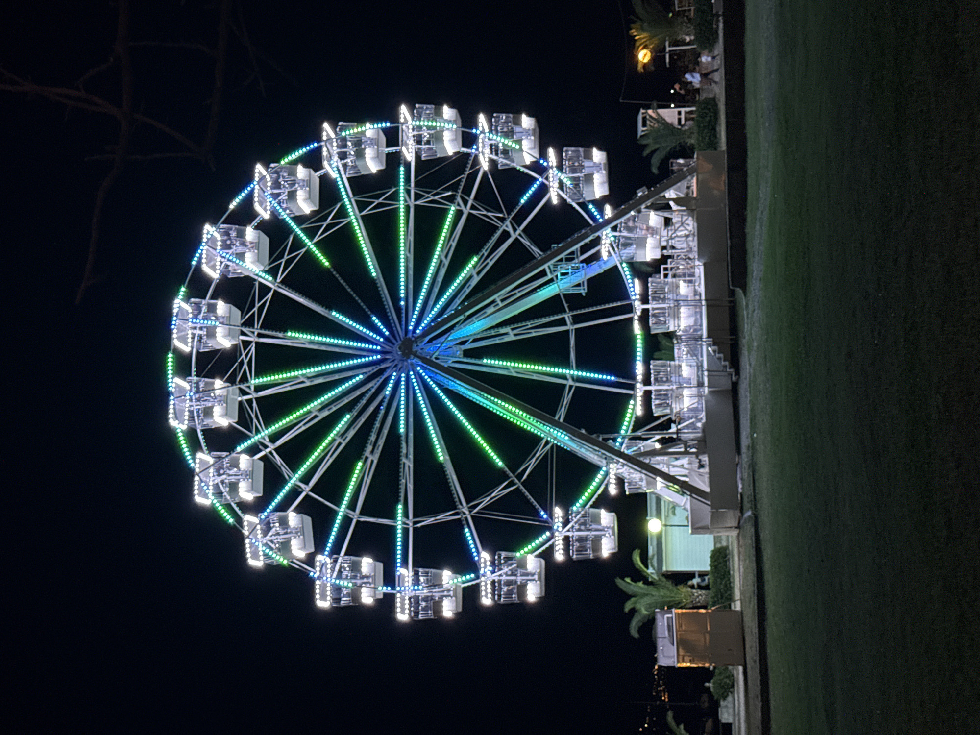 This is a night-time photograph of a brightly lit Ferris wheel situated on a grassy area. The Ferris wheel is adorned with blue and green LED lights that trace its spokes and perimeter, illuminating the individual cabins that hang from its structure. The background is dark, suggesting it is night, with a faint outline of trees or branches in the upper right corner. At the base of the Ferris wheel, there is a structure that appears to be part of the attraction's support or a small building. To the left of the Ferris wheel, a tall, rectangular, tan-colored structure with a light on top is visible, possibly a ticket booth or information kiosk. Several palm trees are scattered around the base of the Ferris wheel. In the distance, to the far left, a body of water can be seen with some lights reflecting on it, hinting at a coastal location. Two people are walking in the middle-right of the image, appearing as small figures in the distance. This scene is likely located in the vicinity of Budva, Montenegro, given the typical presence of Ferris wheels at seaside amusements and the architectural style suggested by the surrounding structures.