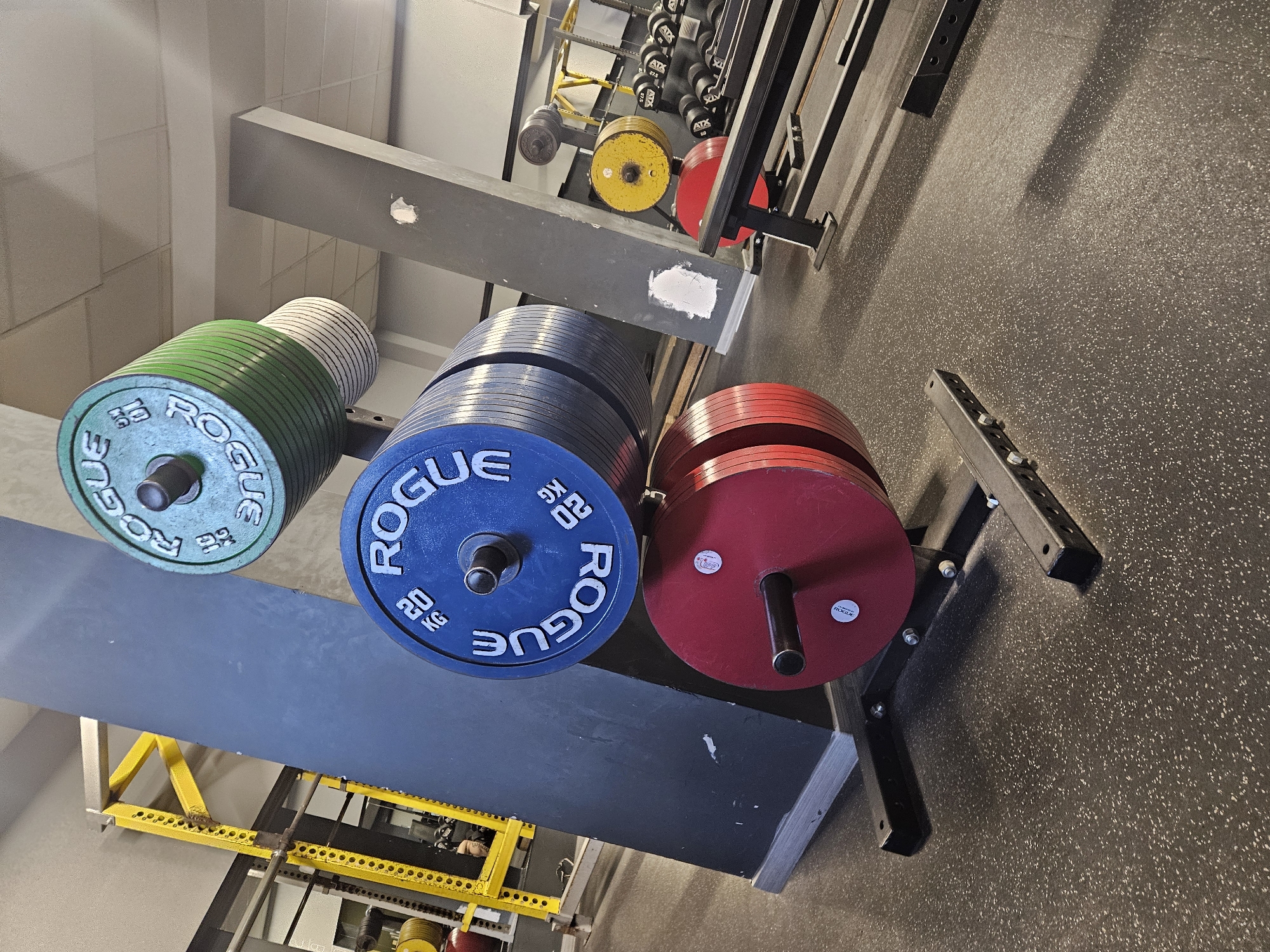 The image depicts a storage rack for weight plates in what appears to be a gym. From left to right, the plates are green, blue, and red, all marked "Rogue." The plates are stacked on horizontal bars attached to a frame bolted to a gray wall and a dark textured floor. Additional equipment racks and weights are visible in the background. The location in Varna, Bulgaria, cannot be confirmed based on the visual information provided.