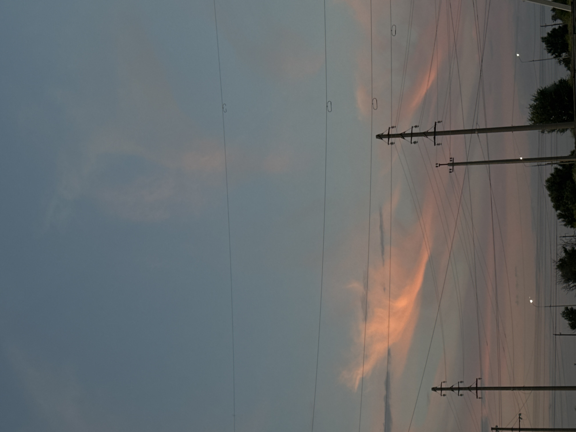 An outdoor, vertical, full shot captures a dusky sky with power lines and utility poles in the foreground. The sky is a soft gradient of blue and pink hues, indicating either sunrise or sunset, with wispy, elongated clouds tinged with orange. Several power lines crisscross the frame horizontally, with some showing circular insulators. Three tall, concrete utility poles stand vertically, supporting the lines. The pole on the left is a shorter, more slender model, while the other two are significantly taller and thicker. In the lower right of the frame, a streetlight casts a small, white glow. The ground level is obscured by a dark line of trees and foliage, with hints of a road or pathway visible near the bottom edge. The scene appears to be in an urban or suburban environment.