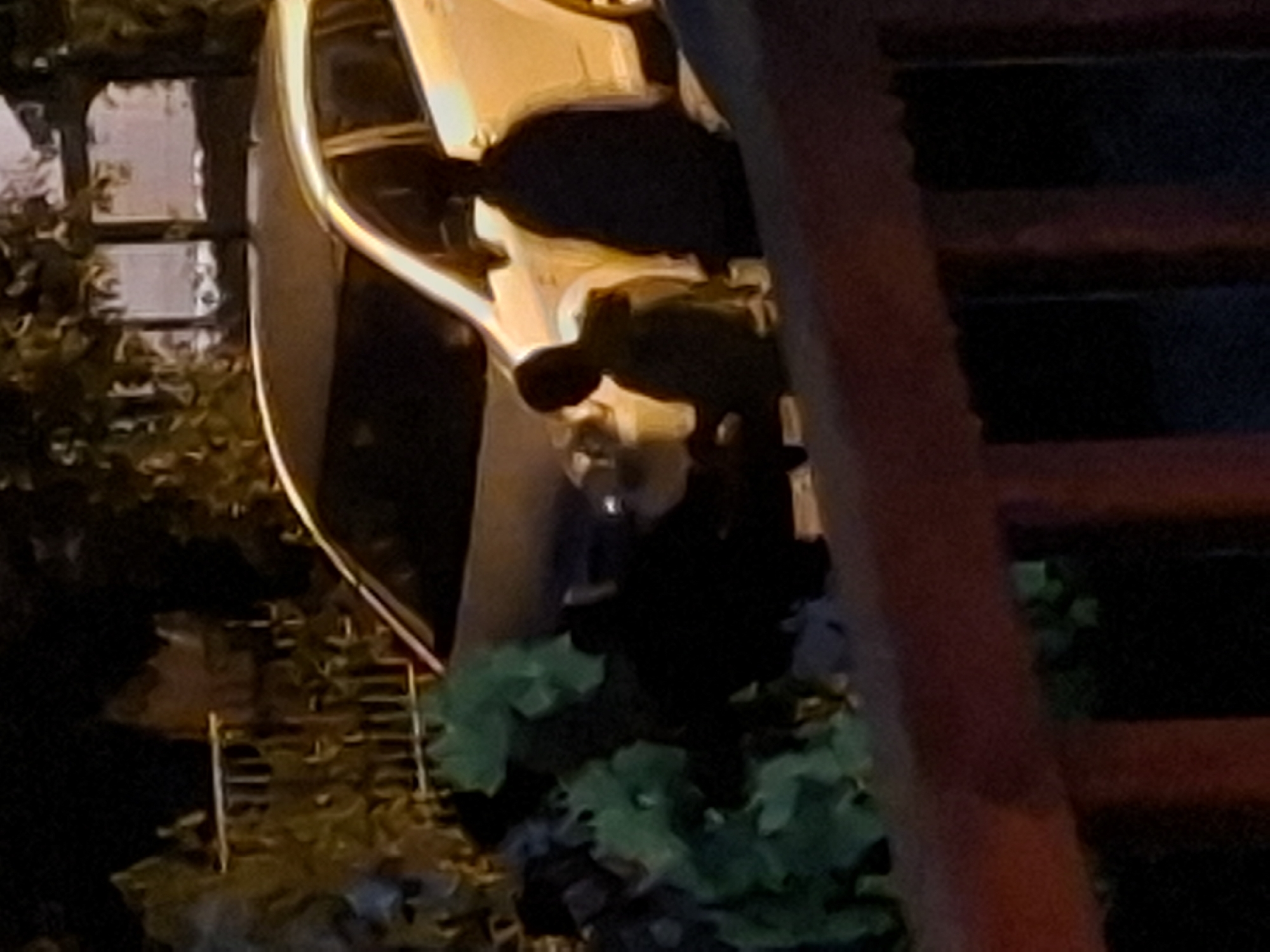 This nighttime image captures a fragmented, abstract scene, likely in an urban or semi-urban environment in Sofia, Bulgaria. The composition is marked by stark contrasts between deep shadows and bright, artificially lit elements, suggesting low light conditions.
On the right side, a substantial wooden structure, possibly a staircase or railing, runs vertically upwards, characterized by dark, reddish-brown horizontal slats. To its left, a prominent, curved, golden-hued metallic object is visible, highly reflective and catching light along its edge. This object could be part of a vehicle, such as a side mirror or a chrome bumper, or a polished architectural feature. Behind this metallic curve, lighter rectangular shapes, resembling illuminated windows or building facades, are reflected or present.
The central area features dark, amorphous forms that are difficult to definitively identify; they appear as indistinct, heavily shadowed masses or complex reflections, making it unclear if they represent objects or figures. Below the central elements, vibrant green foliage, likely shrubs or trees, is visible, subtly illuminated from behind or above. Further down and to the bottom left, metallic grates or another set of stairs can be discerned.
No discernible human figures or explicit text are visible in the image. The time of day is clearly night or very late evening, indicated by the strong artificial lighting and deep shadows. The unusual perspective and strong reflections contribute to the image's abstract quality.