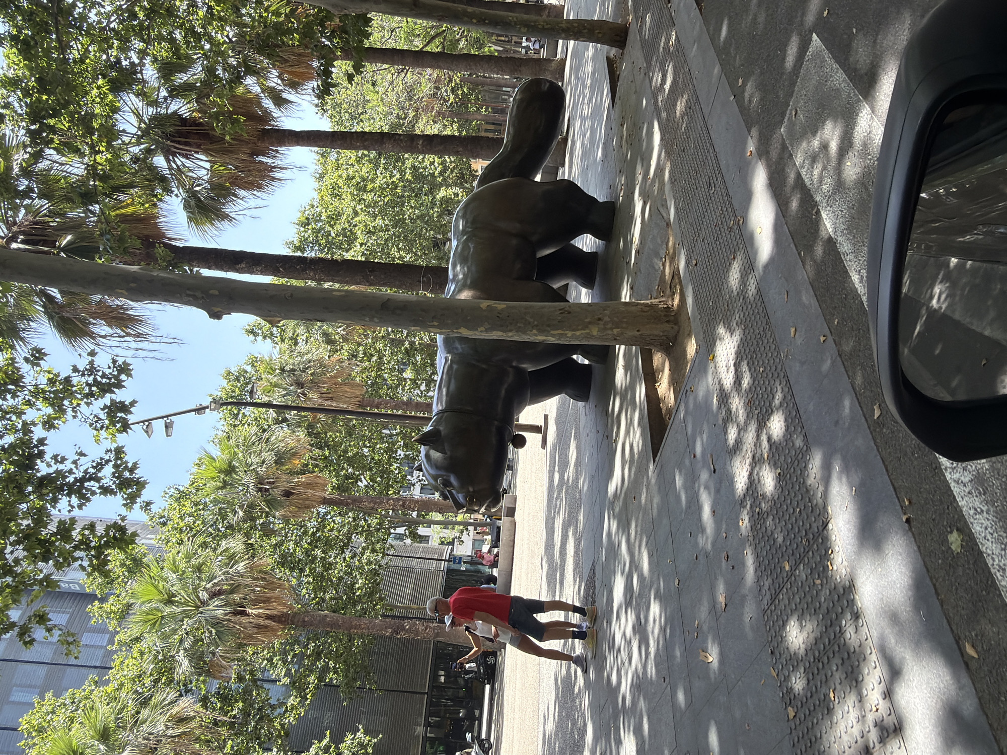 This is a medium-shot, eye-level, outdoor, daytime photograph taken from a vehicle, showing a large bronze sculpture of a cat. The sculpture is dark brown and appears to be smooth and rounded, with a long tail. It is positioned on a paved plaza, partially shaded by trees. In the background, two people, a man and a woman, are taking a selfie in front of the sculpture. The man is wearing a red t-shirt and dark shorts, while the woman is wearing a white tank top and shorts. They are standing close to each other, with the woman holding up a smartphone to take the picture. Further in the background, there is a modern building with a glass facade, palm trees, and other deciduous trees. The pavement in the foreground has a textured, raised pattern, suggesting it is a pedestrian area with tactile paving. The scene is lit by bright sunlight, casting shadows from the trees. This sculpture is known as "El Gato de Botero" and is located on the Rambla del Raval in Barcelona, Spain.