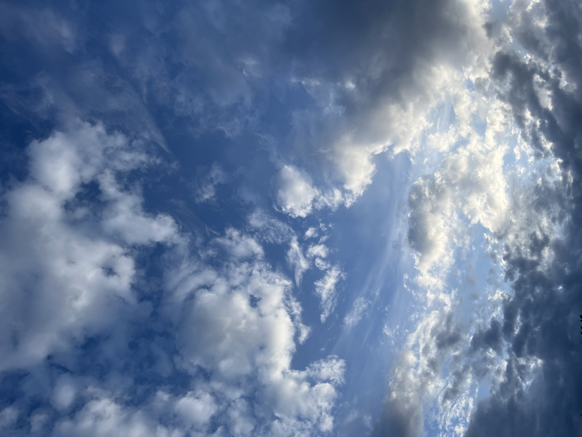 The media file presents a dynamic and expansive sky over Krasnodar, Russia, showcasing a variety of cloud formations under bright daylight. Patches of deep blue sky are visible, particularly in the central and left areas, indicating clear atmospheric sections. The left side and lower-left portion of the image feature fluffy, bright white cumulus clouds, which appear well-defined and fully illuminated by the sun. Towards the center and upper-center, thin, wispy cloud streaks, likely cirrus or cirrocumulus, extend across the blue, suggesting higher altitude air currents. The right side of the frame, especially in the upper and middle sections, is characterized by denser, darker grey clouds. These clouds display significant contrast, with their edges brightly lit by the sun and their undersides or internal areas cast in shadow, hinting at their depth and thickness. This combination of bright white, dark grey clouds, and clear blue sky suggests a partly cloudy to mostly cloudy day, with multiple cloud layers present. The lighting conditions imply it is daytime, likely late morning or afternoon. There are no visible people, objects, or text within the image, focusing entirely on the evolving cloudscape.