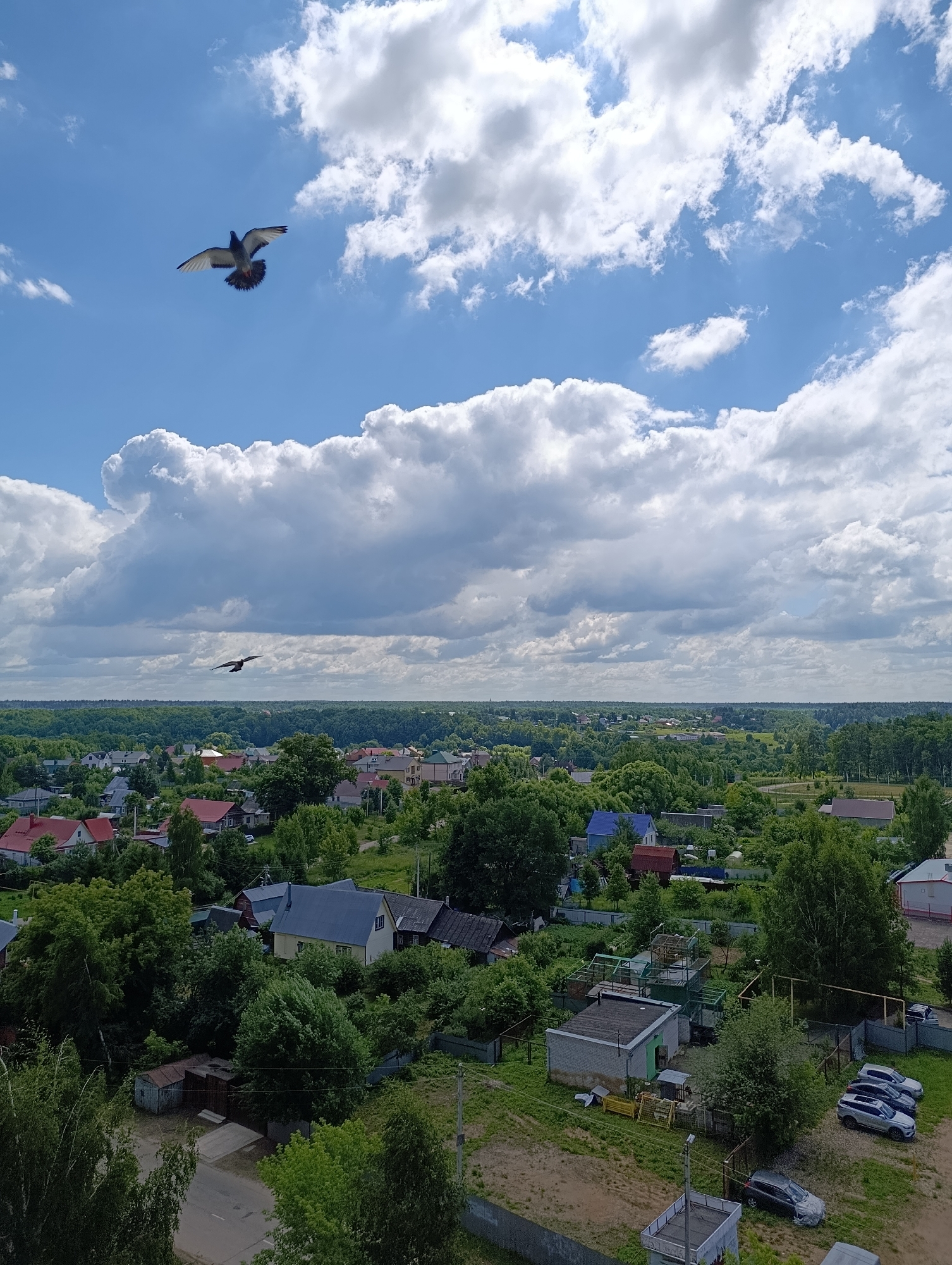 A wide-angle, slightly elevated shot captures a rural or suburban landscape under a partly cloudy sky. The foreground shows a few buildings and a road, with abundant green trees and vegetation dominating the mid-ground, interspersed with red-roofed houses characteristic of a Russian village. In the distance, a dense forest stretches across the horizon. Two birds are visible in flight, one higher in the sky and closer to the viewer, with its wings spread wide, and another smaller bird further away. The overall impression is of a peaceful, natural setting with scattered human habitation.